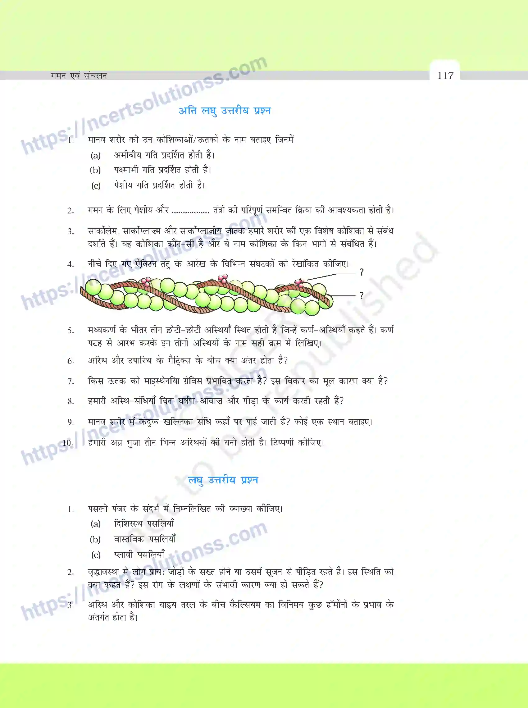 NCERT-Exemplar-Questions-Class-11-Biology--गमन-एवं-संचलन-391-page-4