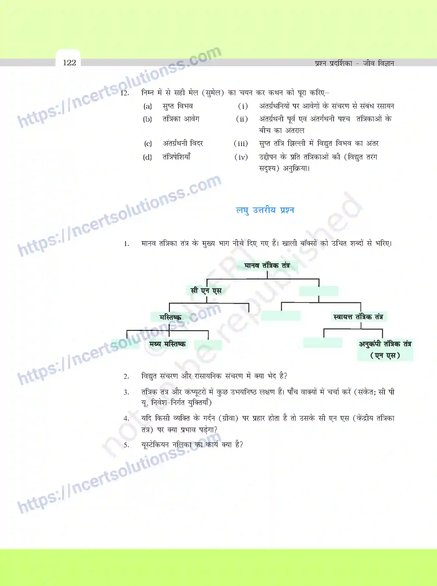 NCERT-Exemplar-Questions-Class-11-Biology--तंत्रकीय-नियंत्रण-एवं-समन्वय-392-page-4