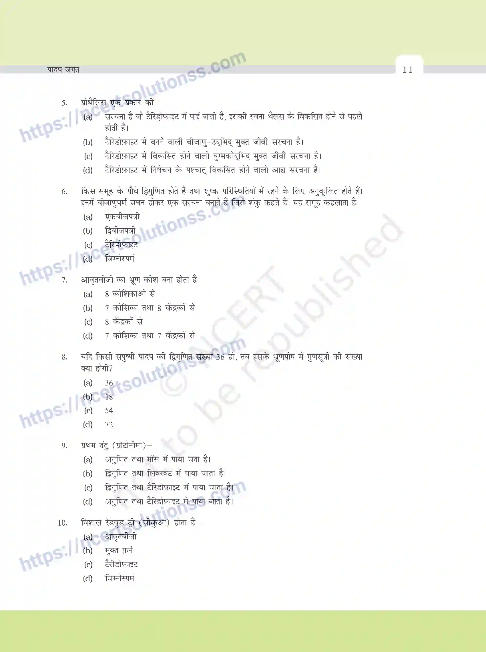 NCERT-Exemplar-Questions-Class-11-Biology--पादप-जगत-374-page-2