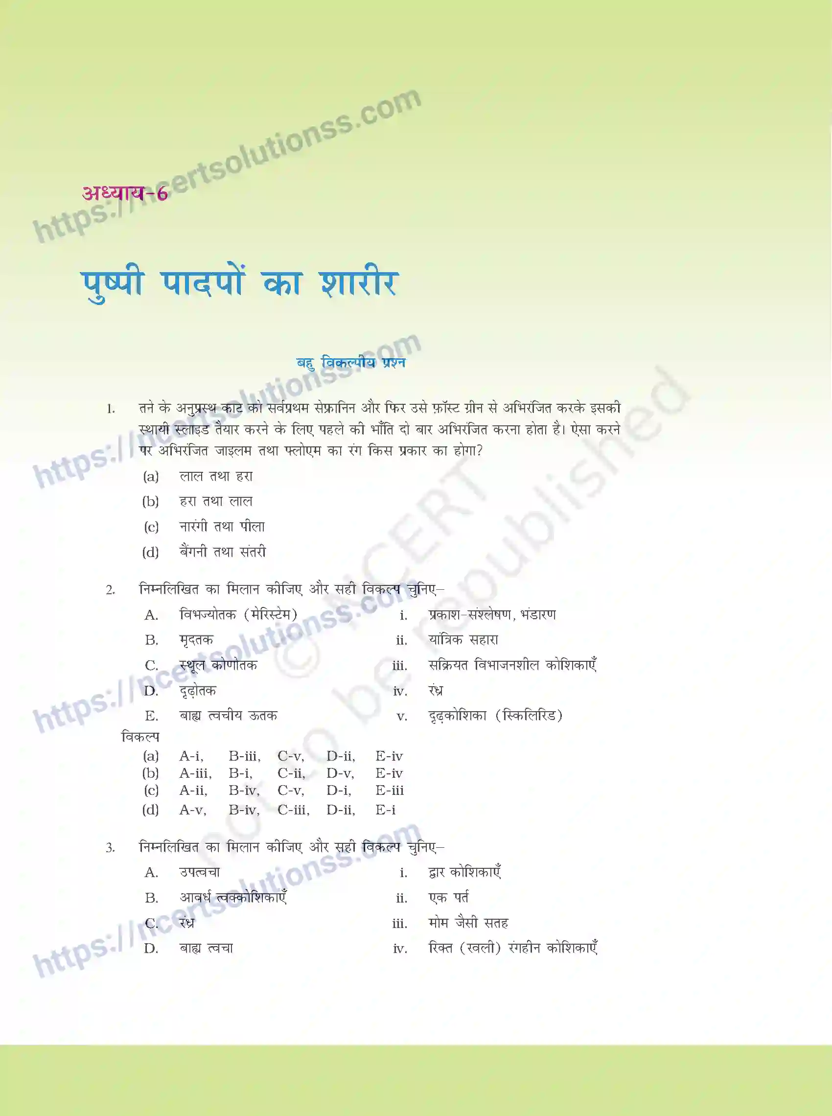 NCERT-Exemplar-Questions-Class-11-Biology--पुष्पी-पादपो-का-शरीर-377-page-1