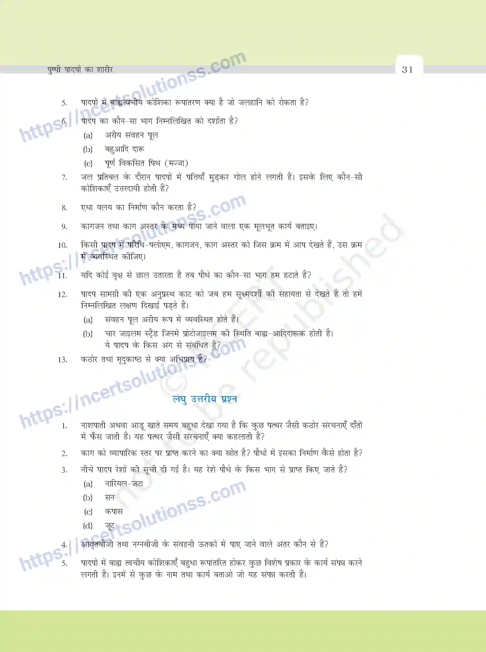 NCERT-Exemplar-Questions-Class-11-Biology--पुष्पी-पादपो-का-शरीर-377-page-5