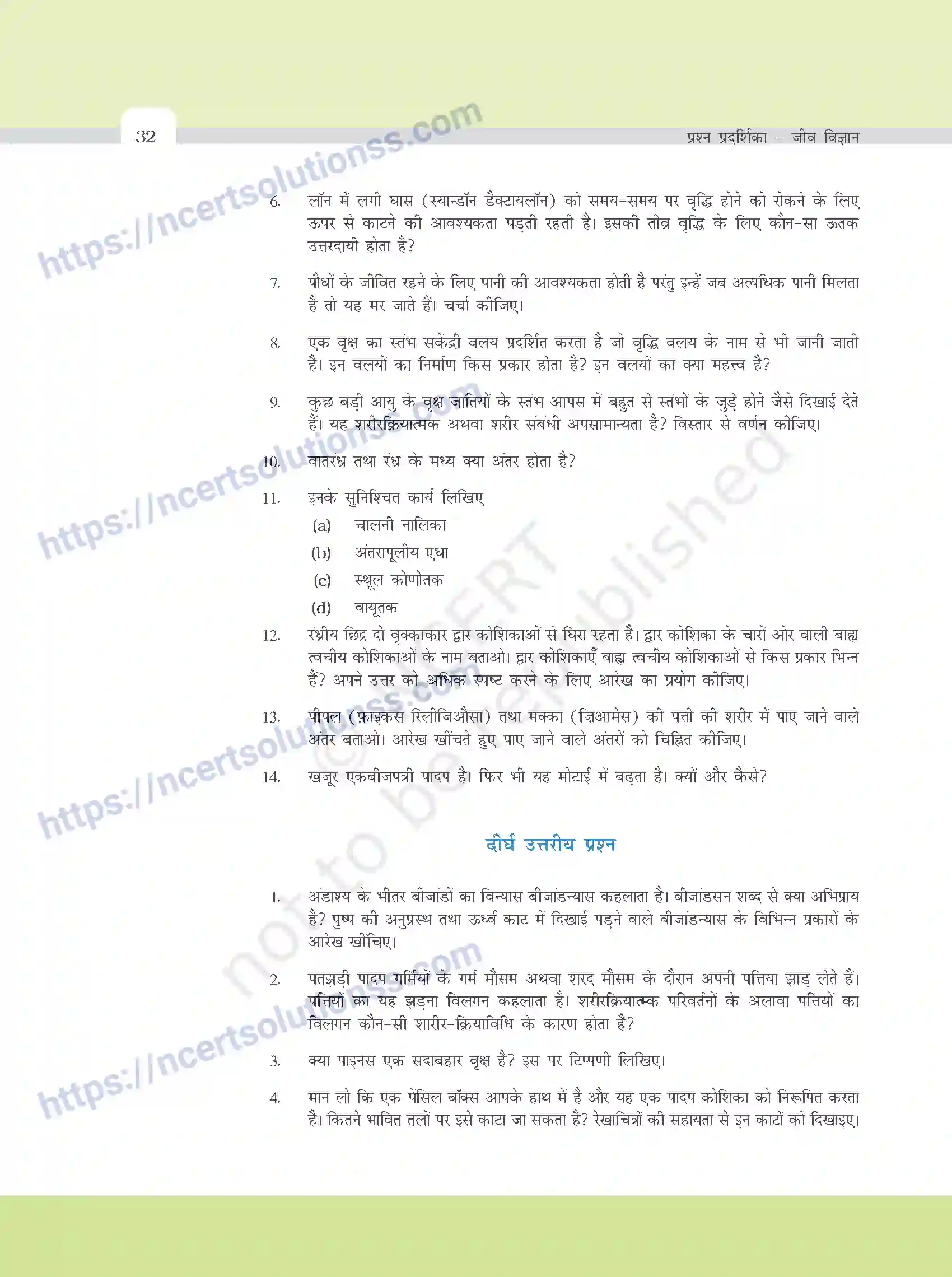 NCERT-Exemplar-Questions-Class-11-Biology--पुष्पी-पादपो-का-शरीर-377-page-6