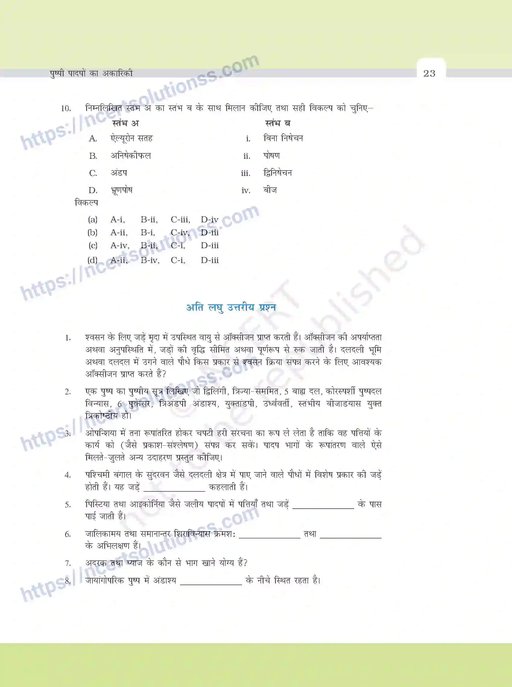 NCERT-Exemplar-Questions-Class-11-Biology--पुष्पी-पादपो-की-आकारिकी-376-page-3