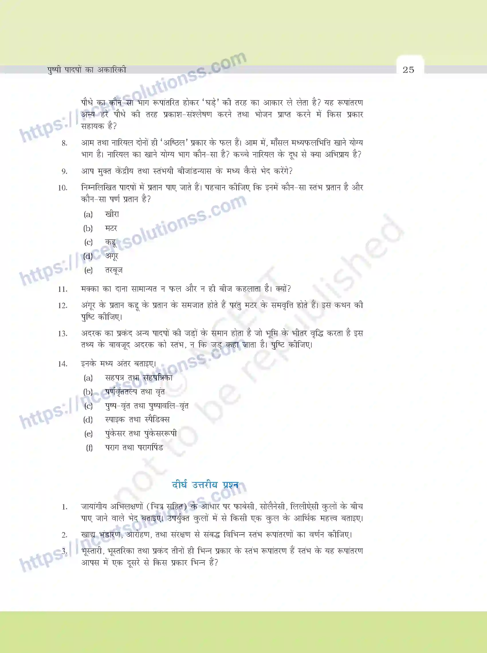 NCERT-Exemplar-Questions-Class-11-Biology--पुष्पी-पादपो-की-आकारिकी-376-page-5