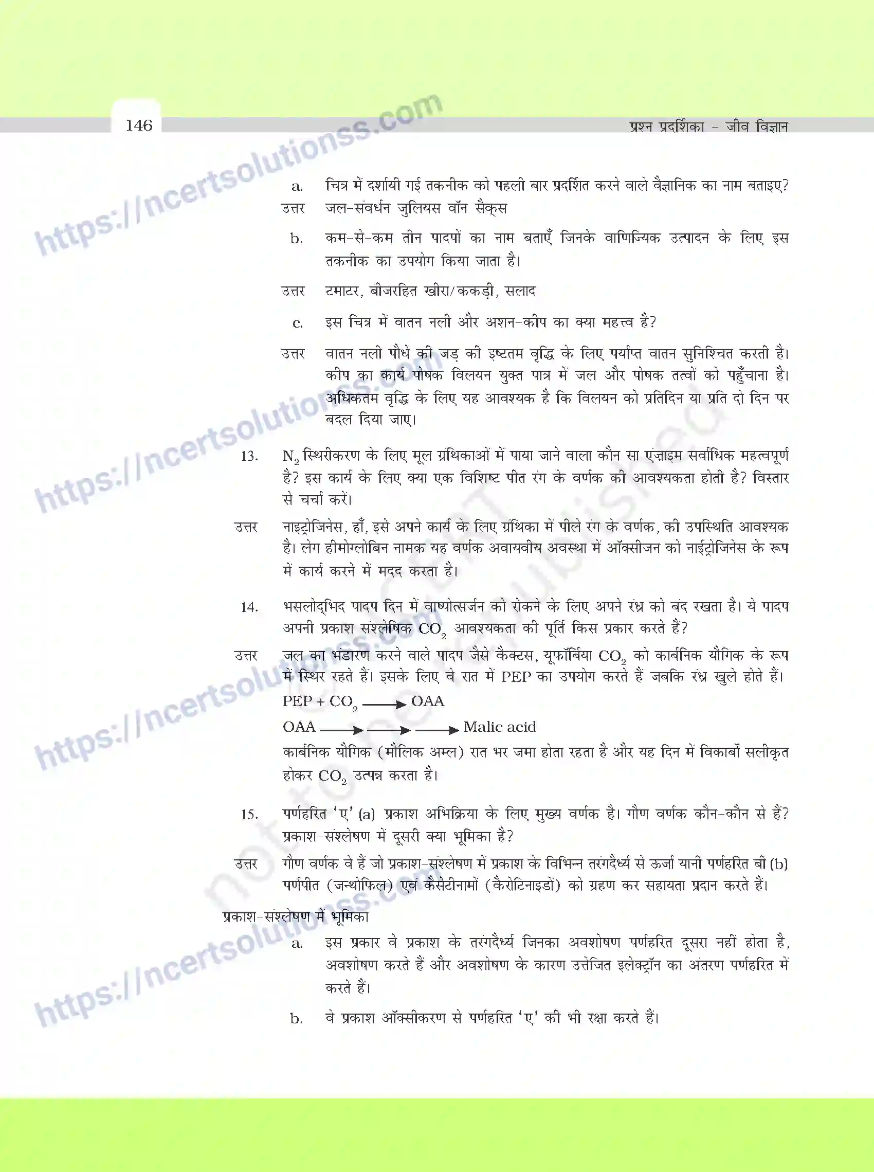 NCERT-Exemplar-Questions-Class-11-Biology--वर्णनात्मक-प्रश्नो-के-मॉडल-उत्तर-395-page-12
