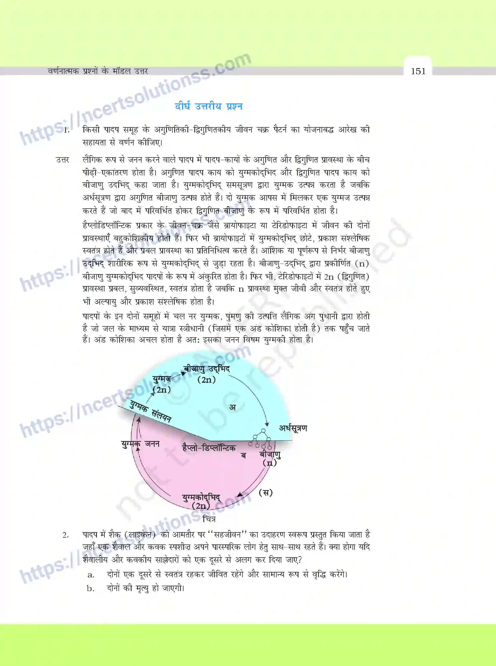 NCERT-Exemplar-Questions-Class-11-Biology--वर्णनात्मक-प्रश्नो-के-मॉडल-उत्तर-395-page-17