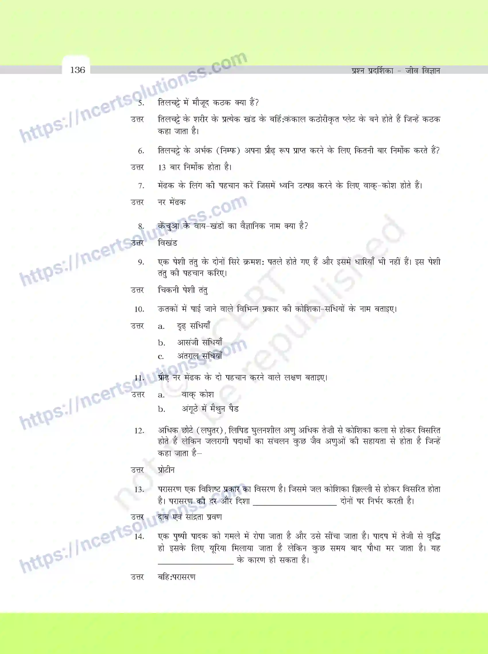 NCERT-Exemplar-Questions-Class-11-Biology--वर्णनात्मक-प्रश्नो-के-मॉडल-उत्तर-395-page-2