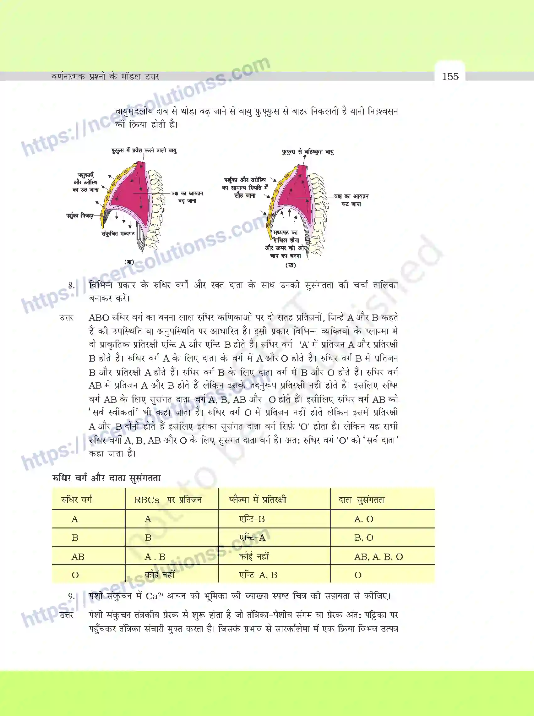 NCERT-Exemplar-Questions-Class-11-Biology--वर्णनात्मक-प्रश्नो-के-मॉडल-उत्तर-395-page-21