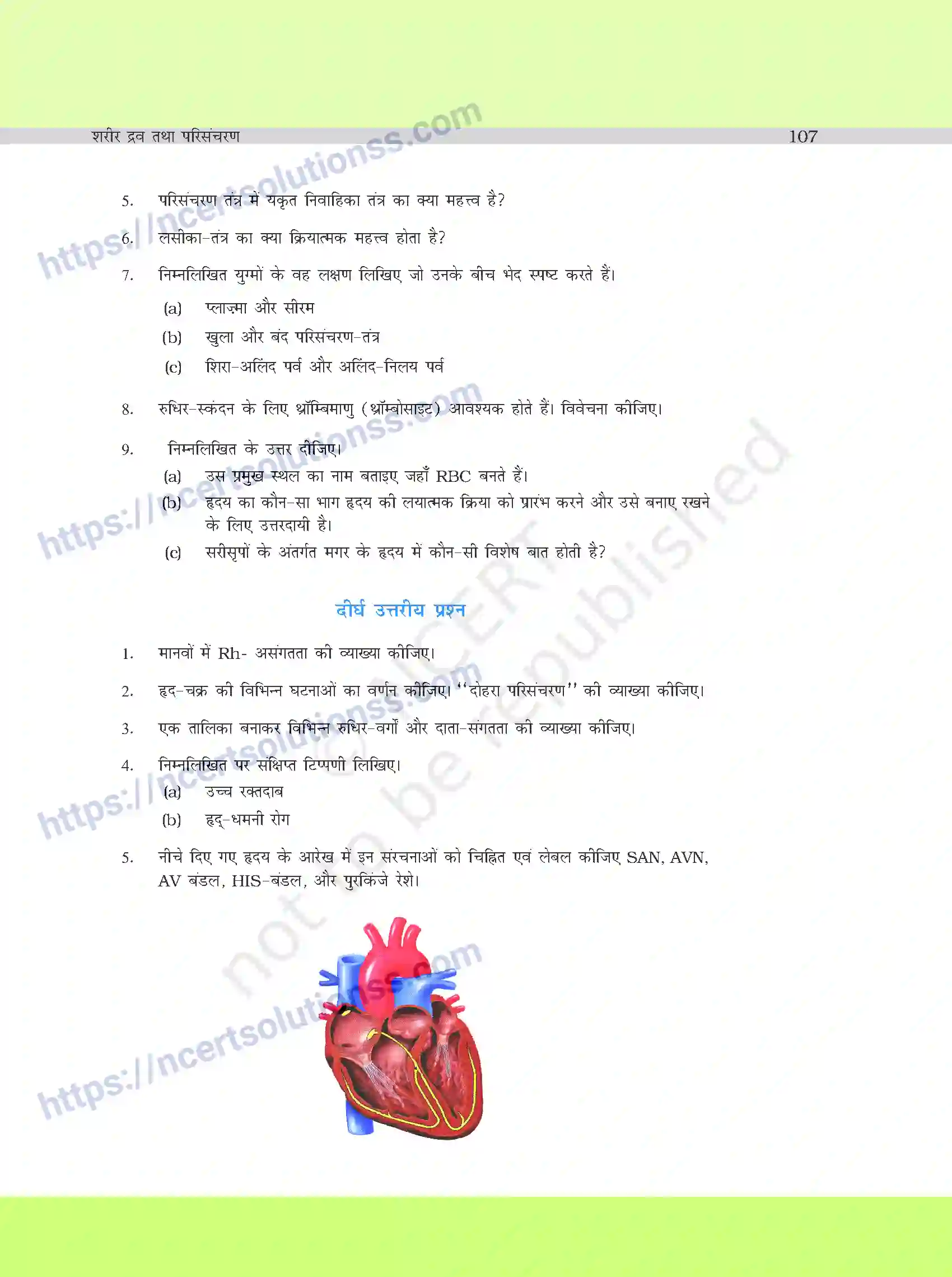 NCERT-Exemplar-Questions-Class-11-Biology--शरीर-द्रव-तथा-परिसंचरण-389-page-6
