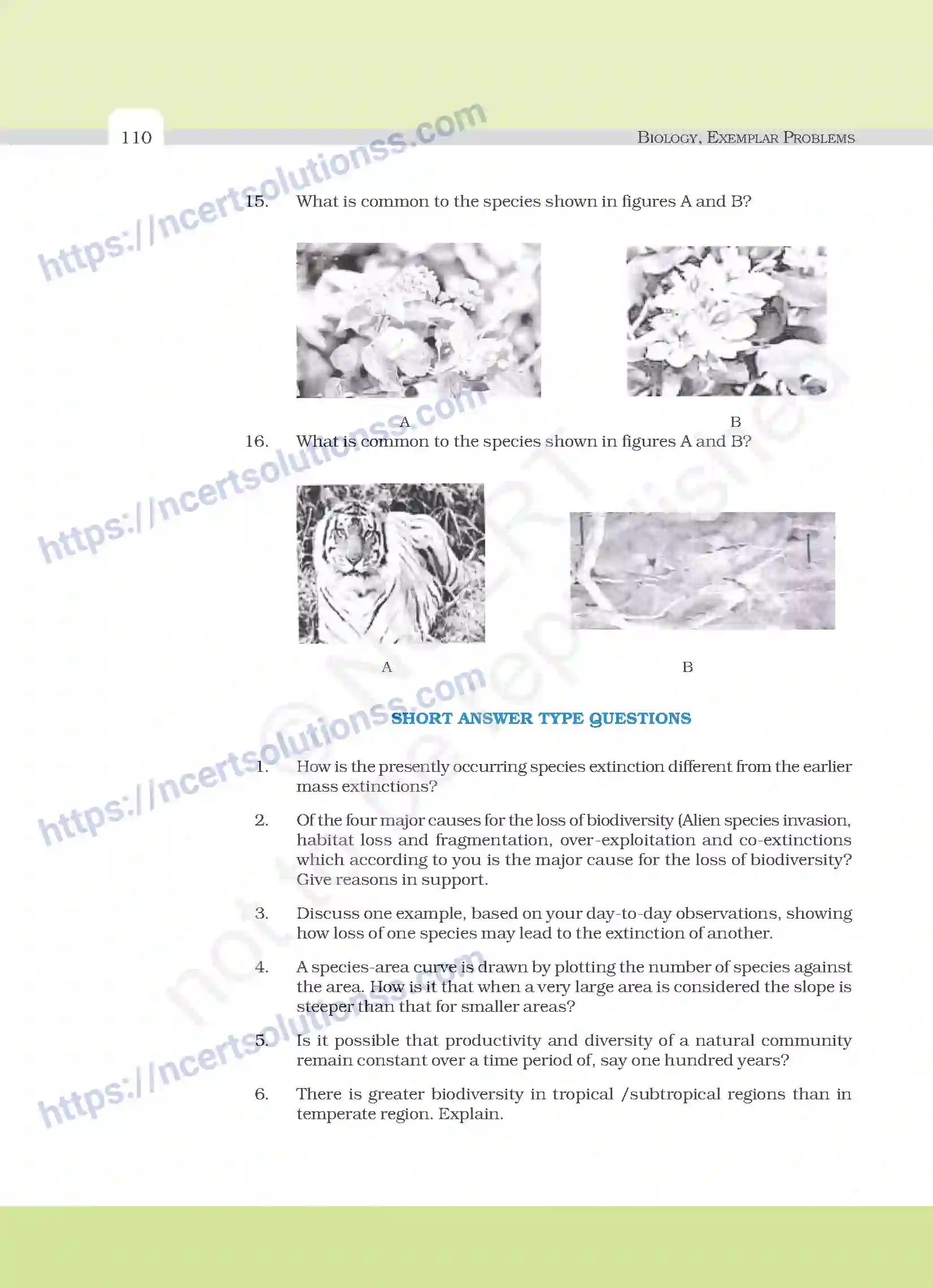 NCERT-Exemplar-Questions-Class-12-Biology--Biodiversity-And-Conservation-31-page-5
