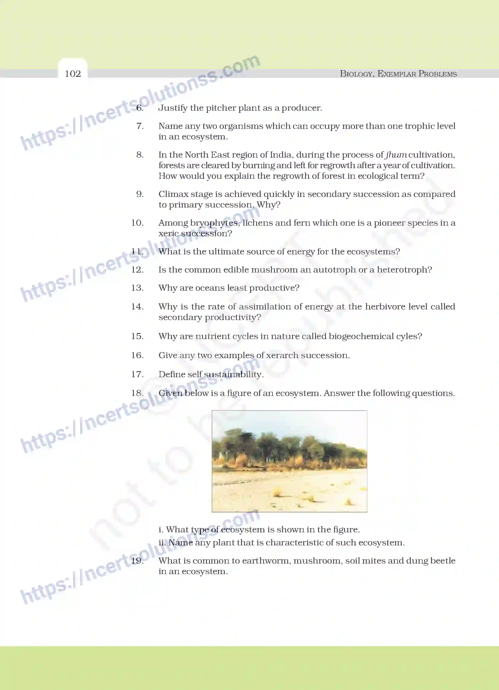 NCERT-Exemplar-Questions-Class-12-Biology--Ecosystem-30-page-5