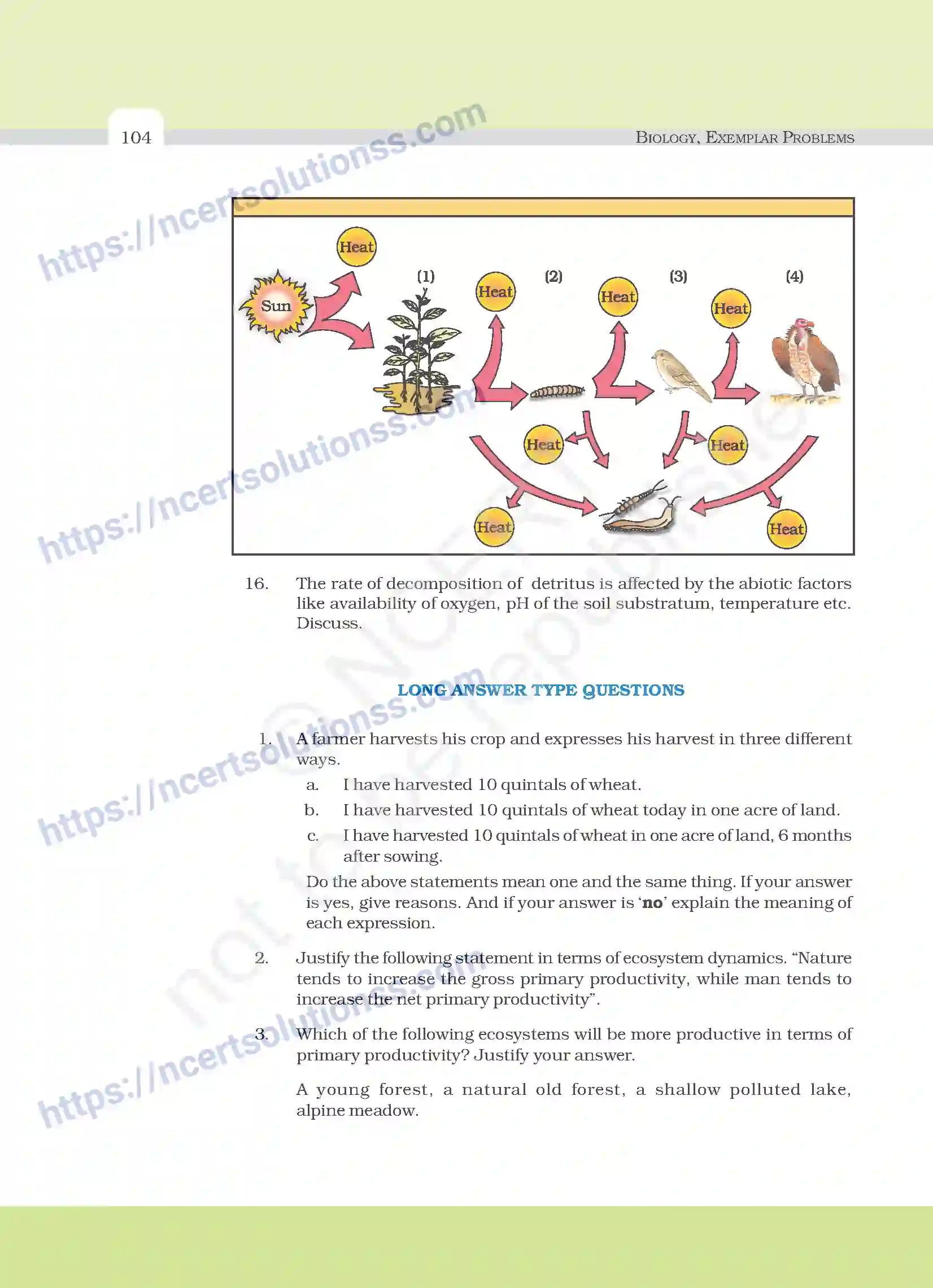 NCERT-Exemplar-Questions-Class-12-Biology--Ecosystem-30-page-7