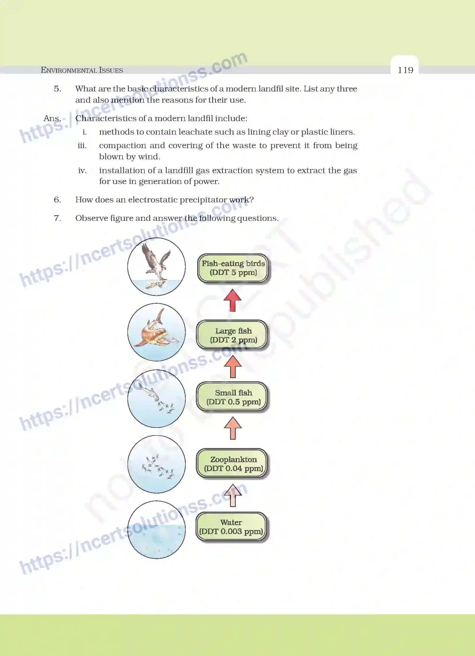 NCERT-Exemplar-Questions-Class-12-Biology--Environmental-Issues-32-page-7