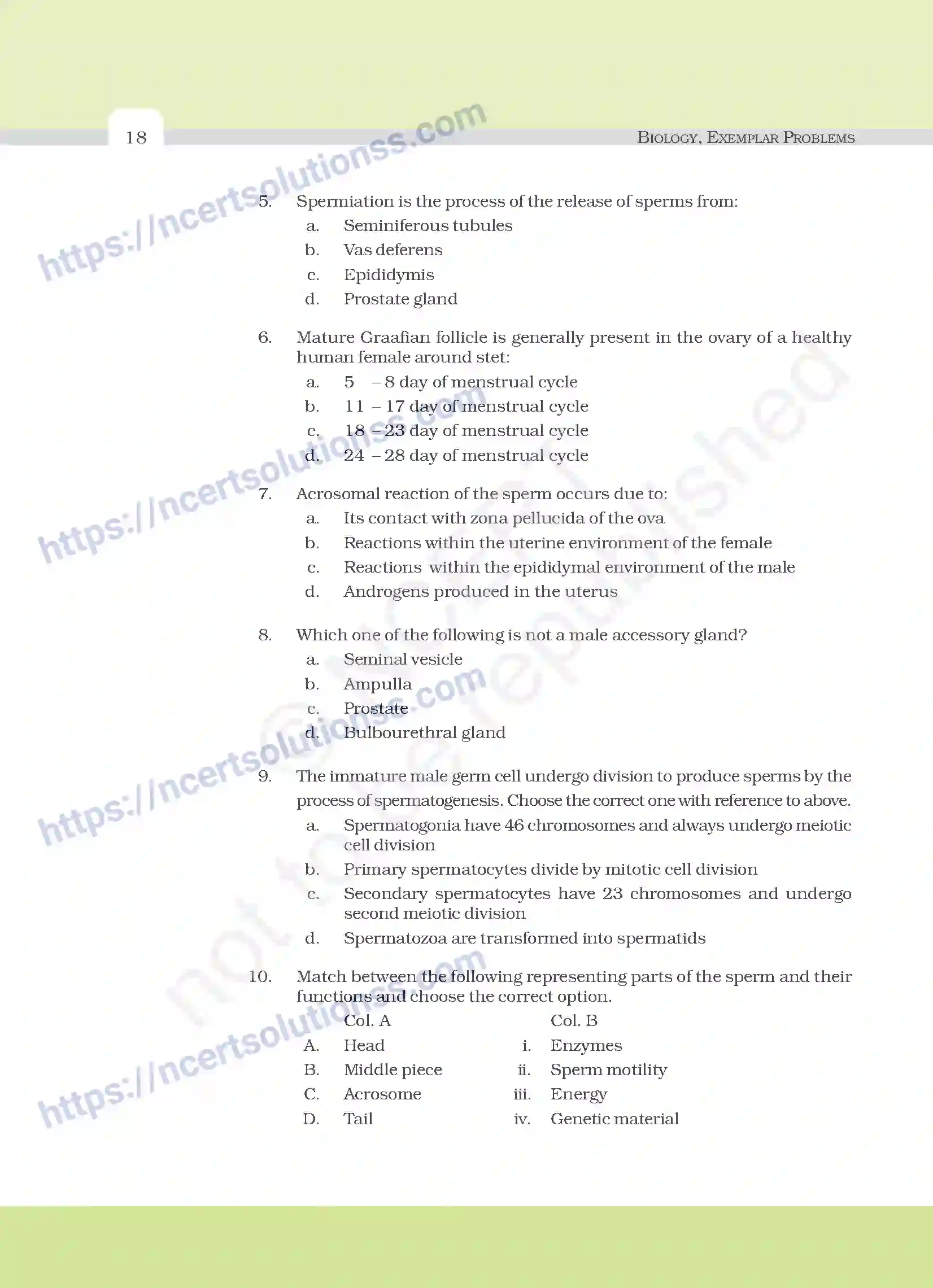 NCERT-Exemplar-Questions-Class-12-Biology--Human-Reproduction-19-page-2