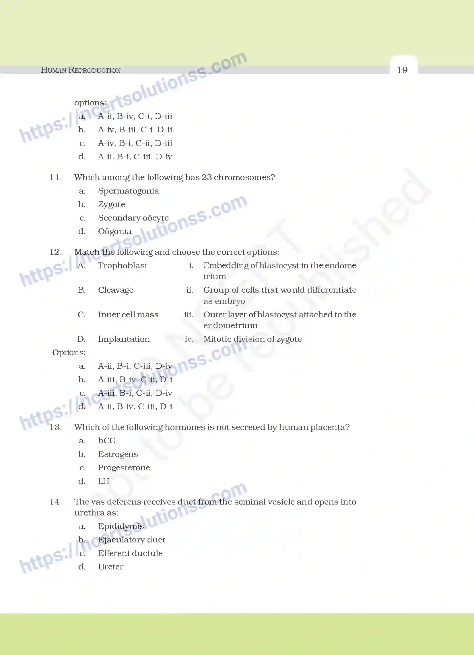 NCERT-Exemplar-Questions-Class-12-Biology--Human-Reproduction-19-page-3