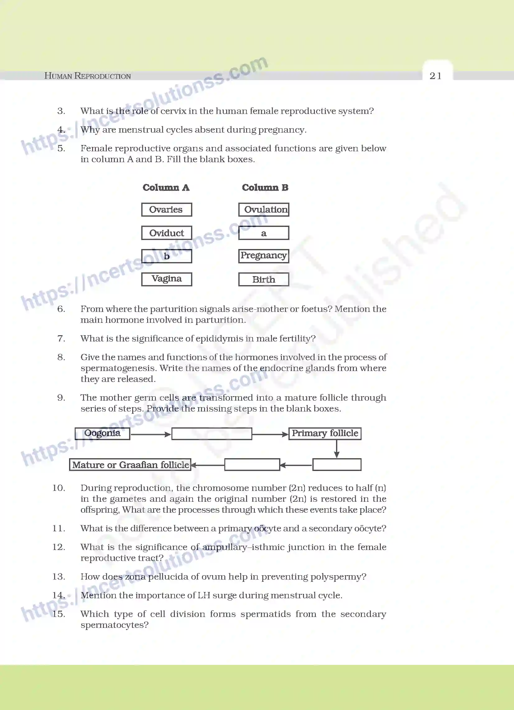NCERT-Exemplar-Questions-Class-12-Biology--Human-Reproduction-19-page-5