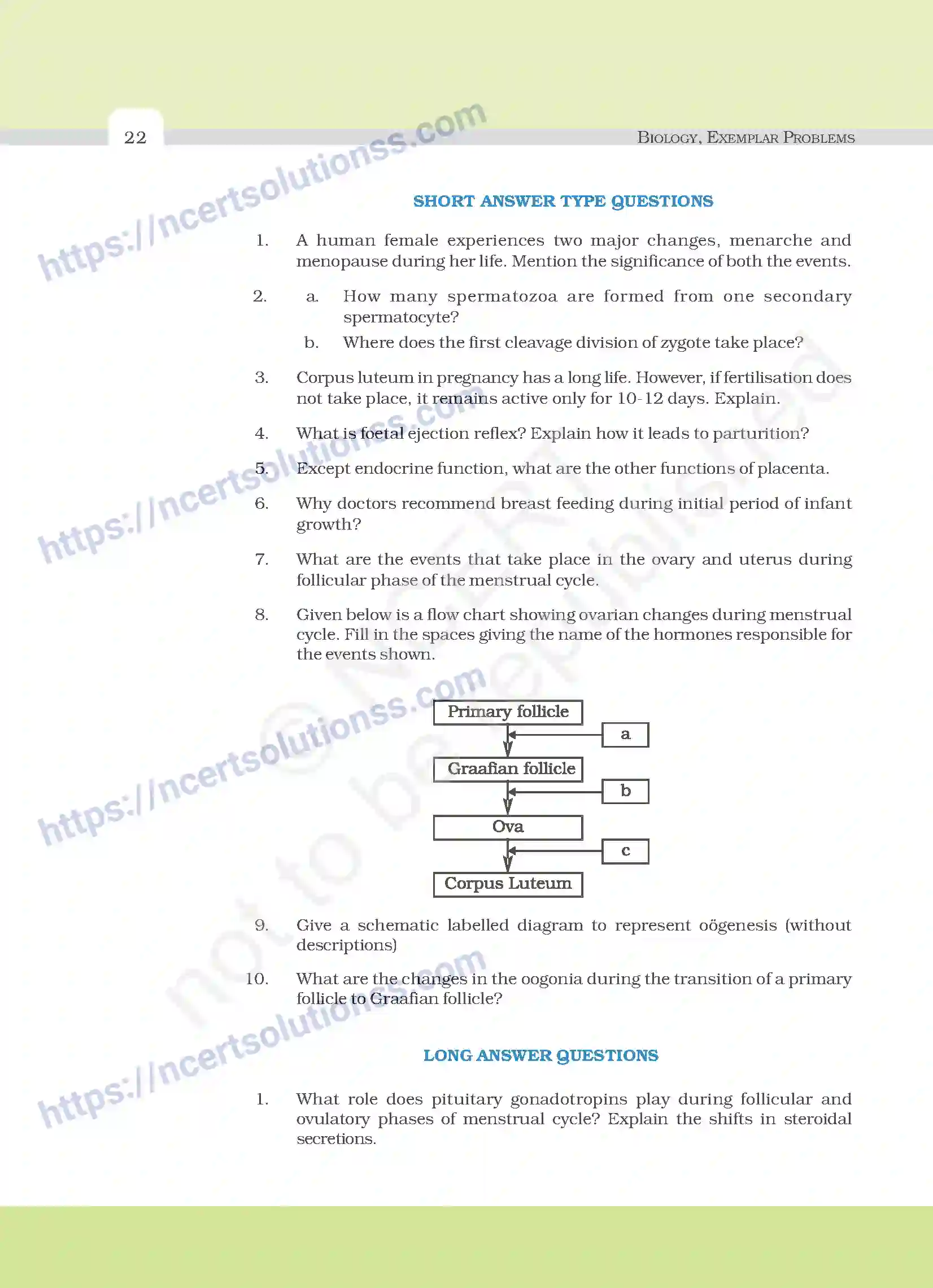 NCERT-Exemplar-Questions-Class-12-Biology--Human-Reproduction-19-page-6