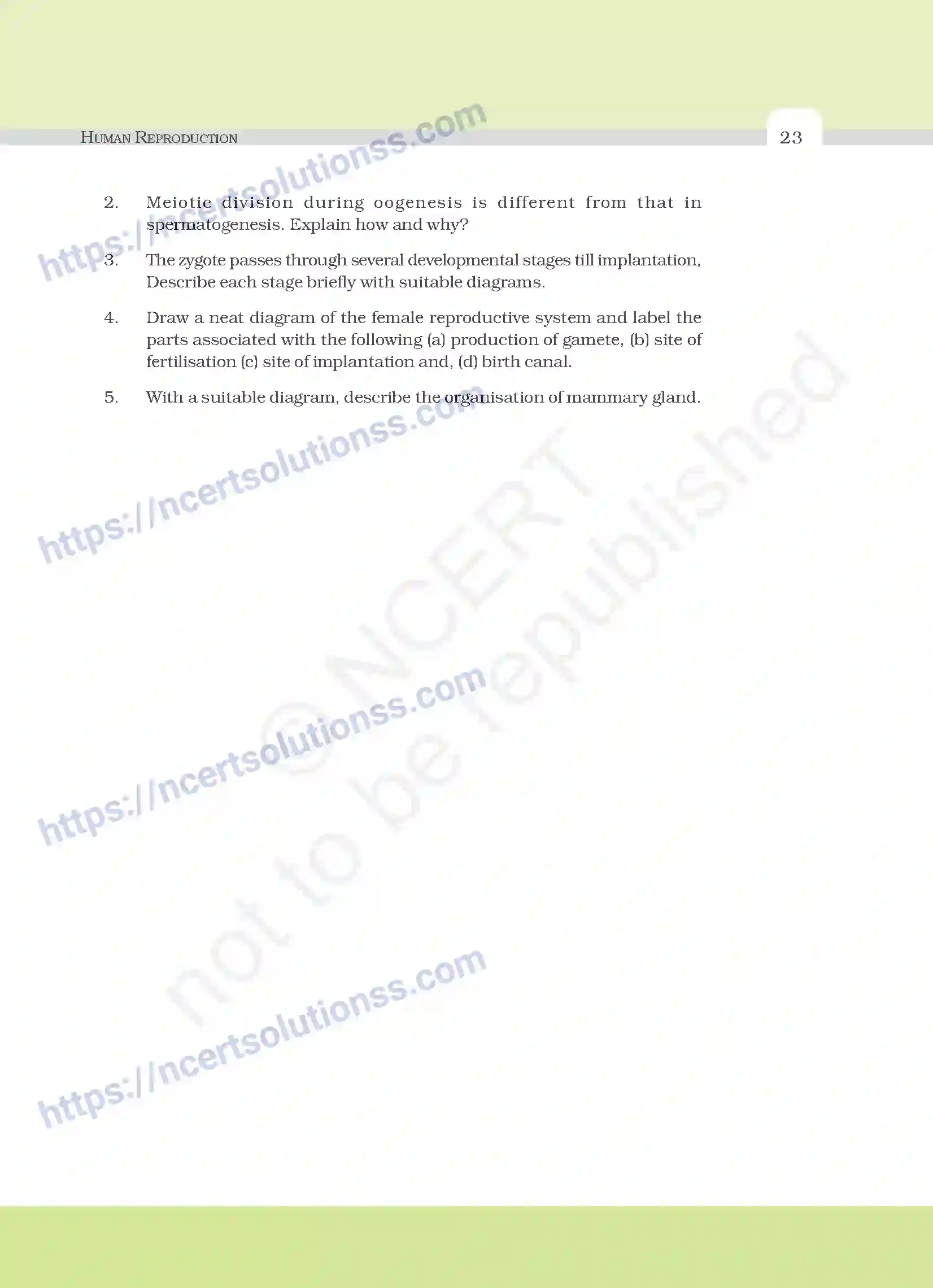 NCERT-Exemplar-Questions-Class-12-Biology--Human-Reproduction-19-page-7