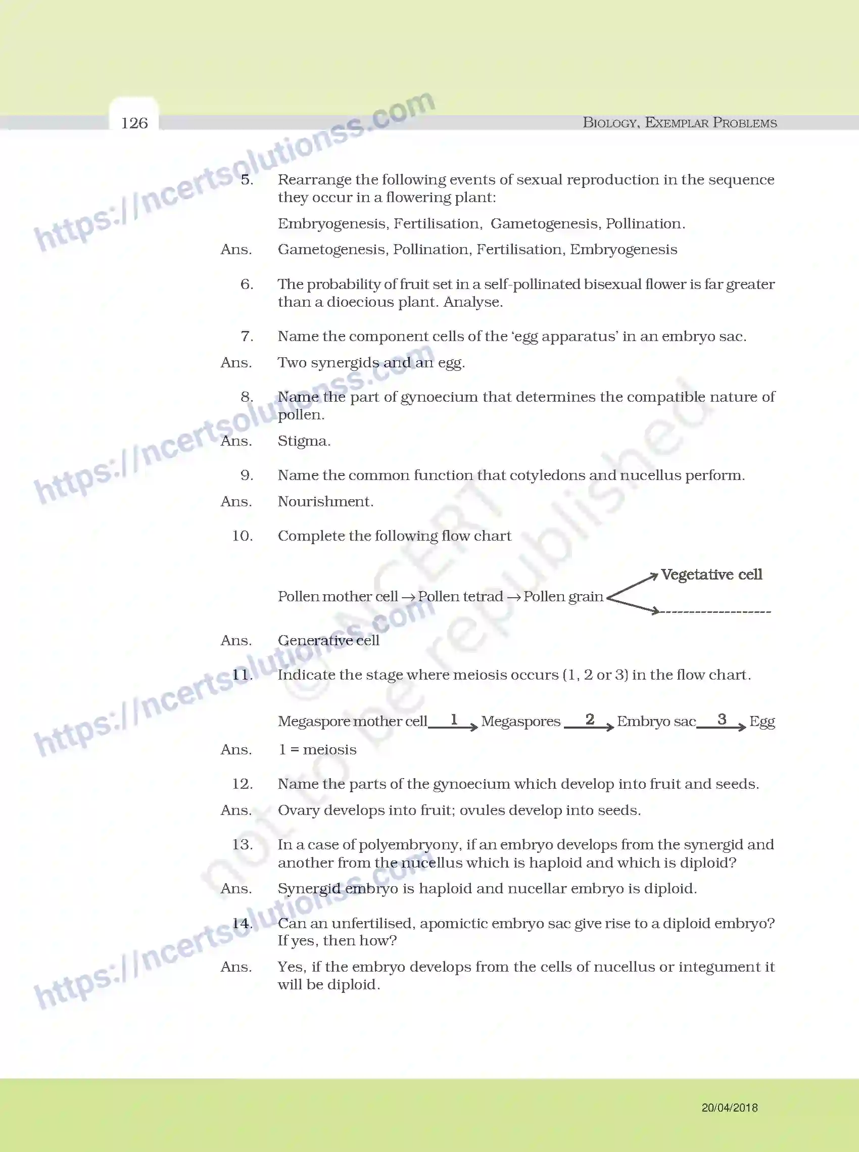 NCERT-Exemplar-Questions-Class-12-Biology--Model-Answers-to-Descriptive-Questions-33-page-2