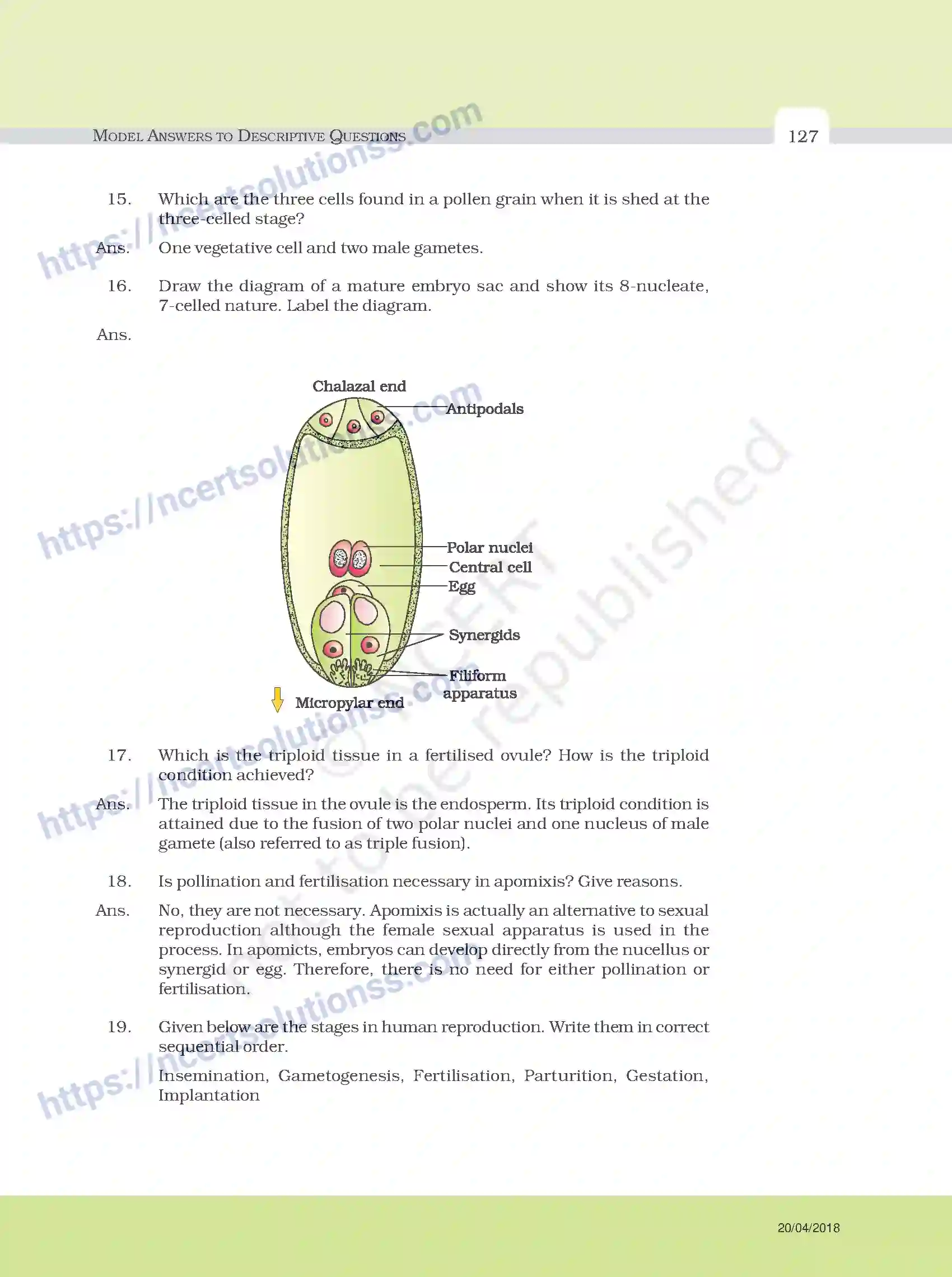NCERT-Exemplar-Questions-Class-12-Biology--Model-Answers-to-Descriptive-Questions-33-page-3