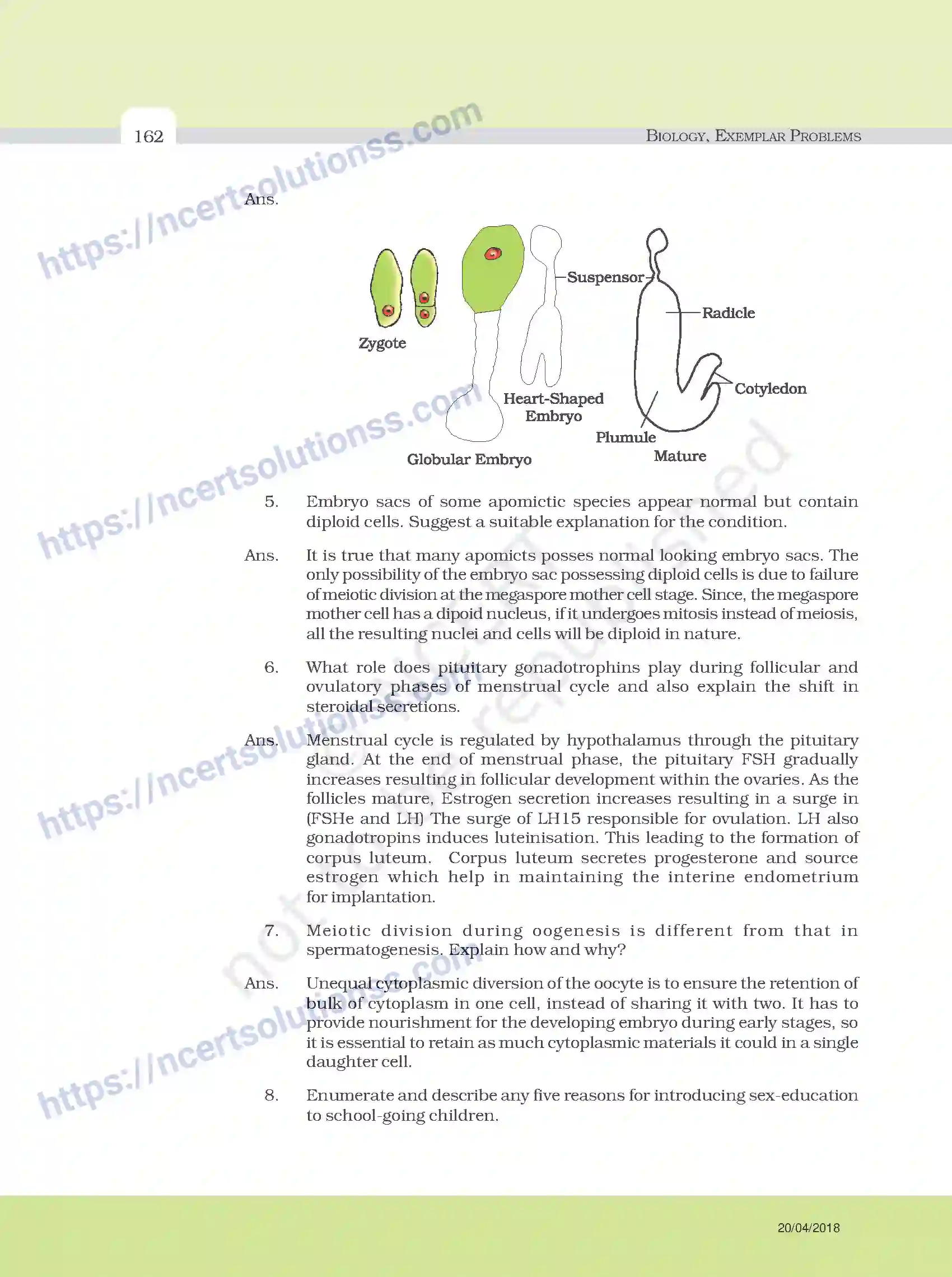 NCERT-Exemplar-Questions-Class-12-Biology--Model-Answers-to-Descriptive-Questions-33-page-38