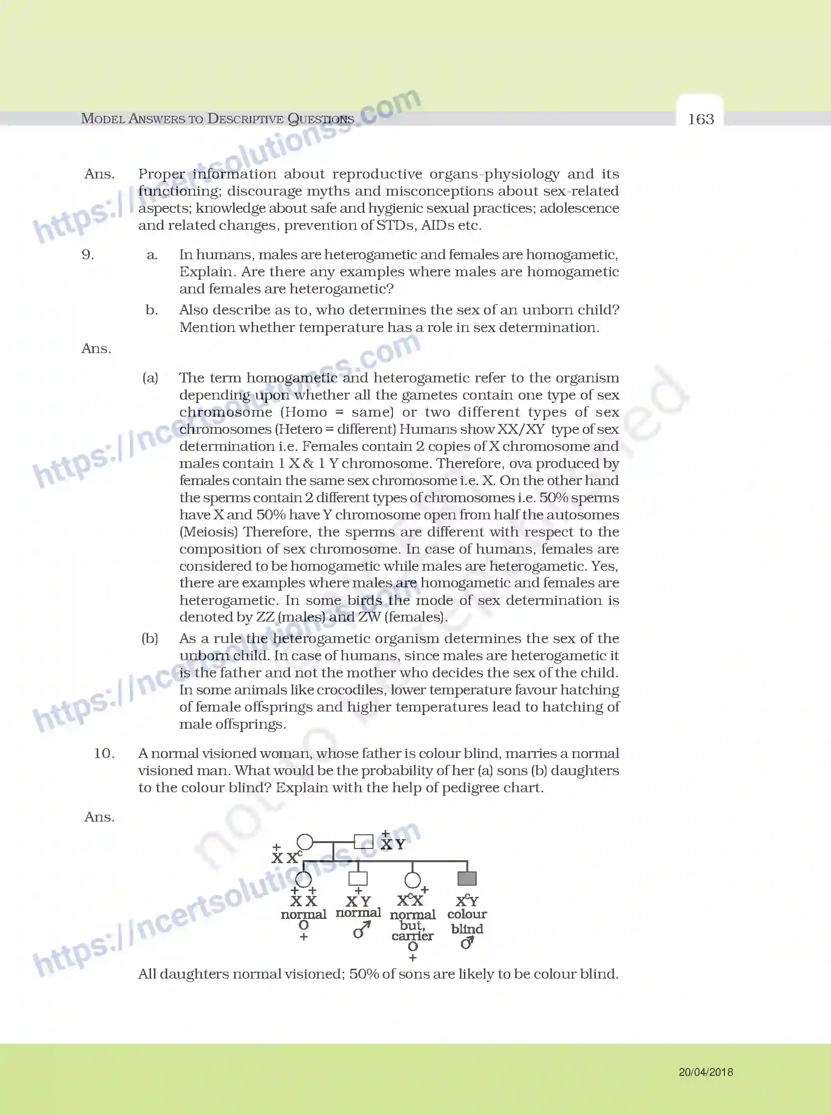 NCERT-Exemplar-Questions-Class-12-Biology--Model-Answers-to-Descriptive-Questions-33-page-39