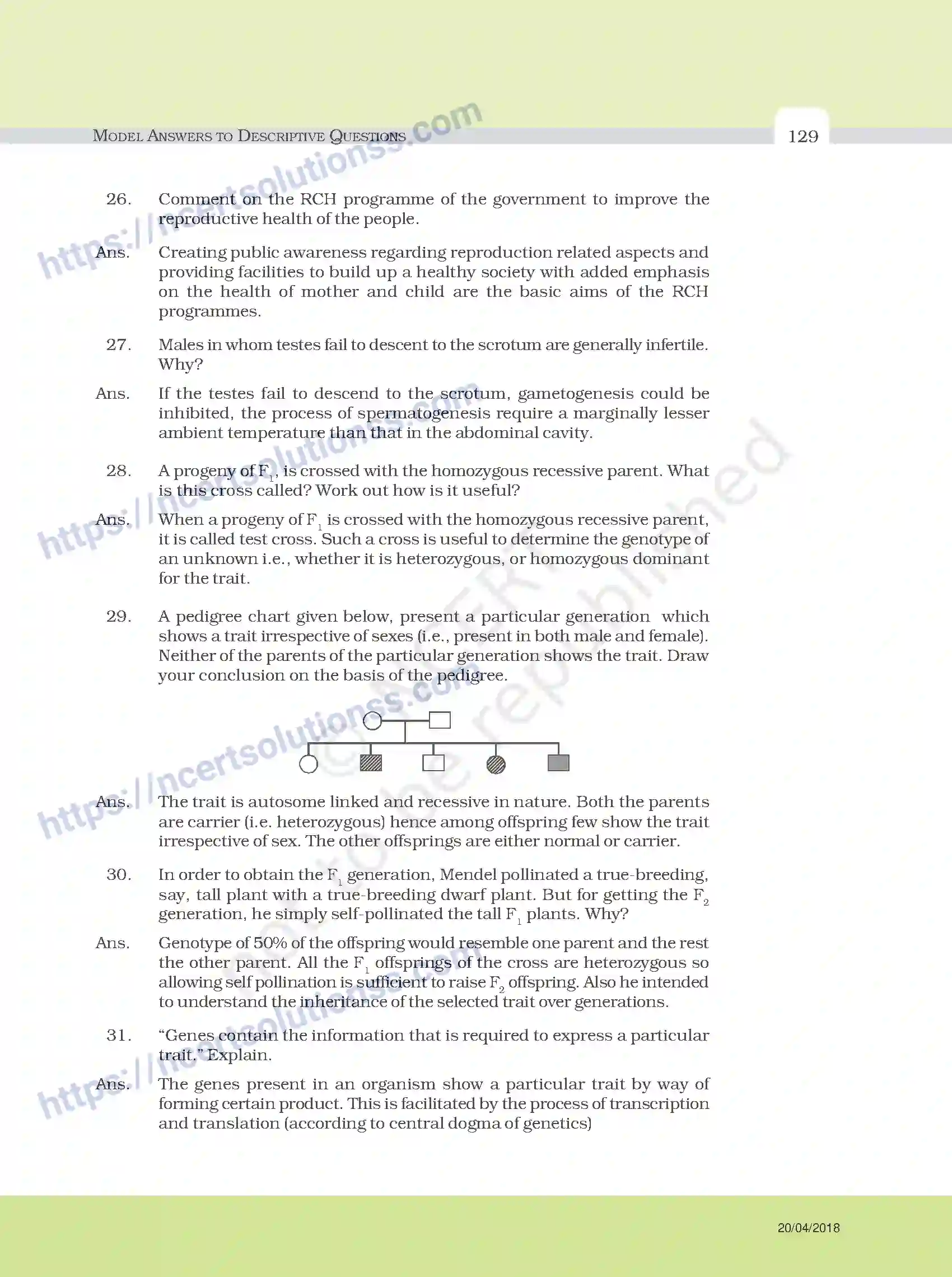 NCERT-Exemplar-Questions-Class-12-Biology--Model-Answers-to-Descriptive-Questions-33-page-5