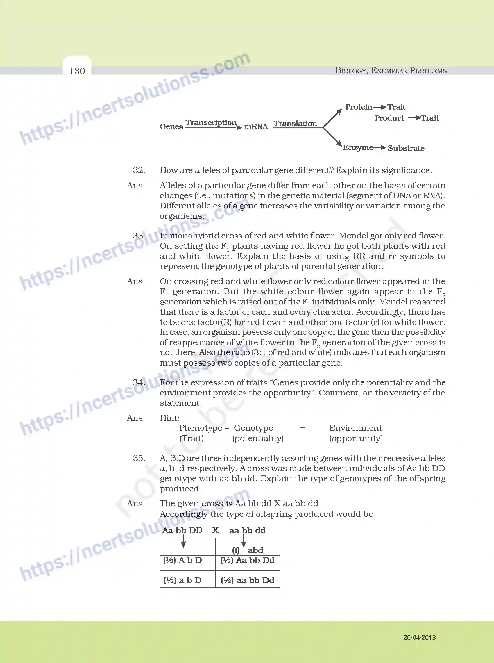 NCERT-Exemplar-Questions-Class-12-Biology--Model-Answers-to-Descriptive-Questions-33-page-6