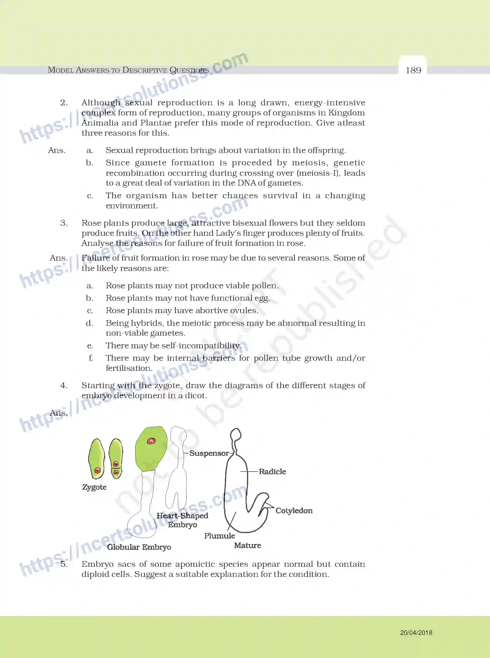 NCERT-Exemplar-Questions-Class-12-Biology--Model-Answers-to-Descriptive-Questions-33-page-65