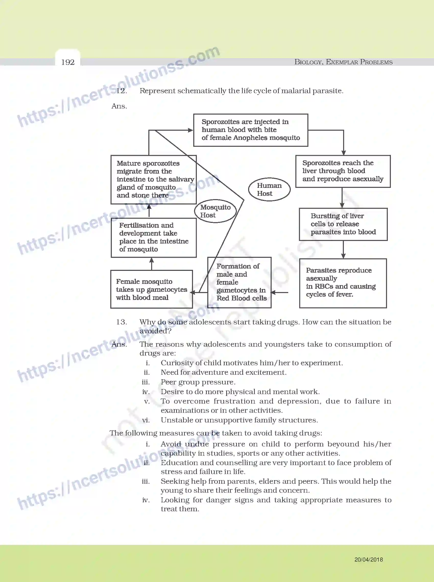 NCERT-Exemplar-Questions-Class-12-Biology--Model-Answers-to-Descriptive-Questions-33-page-68