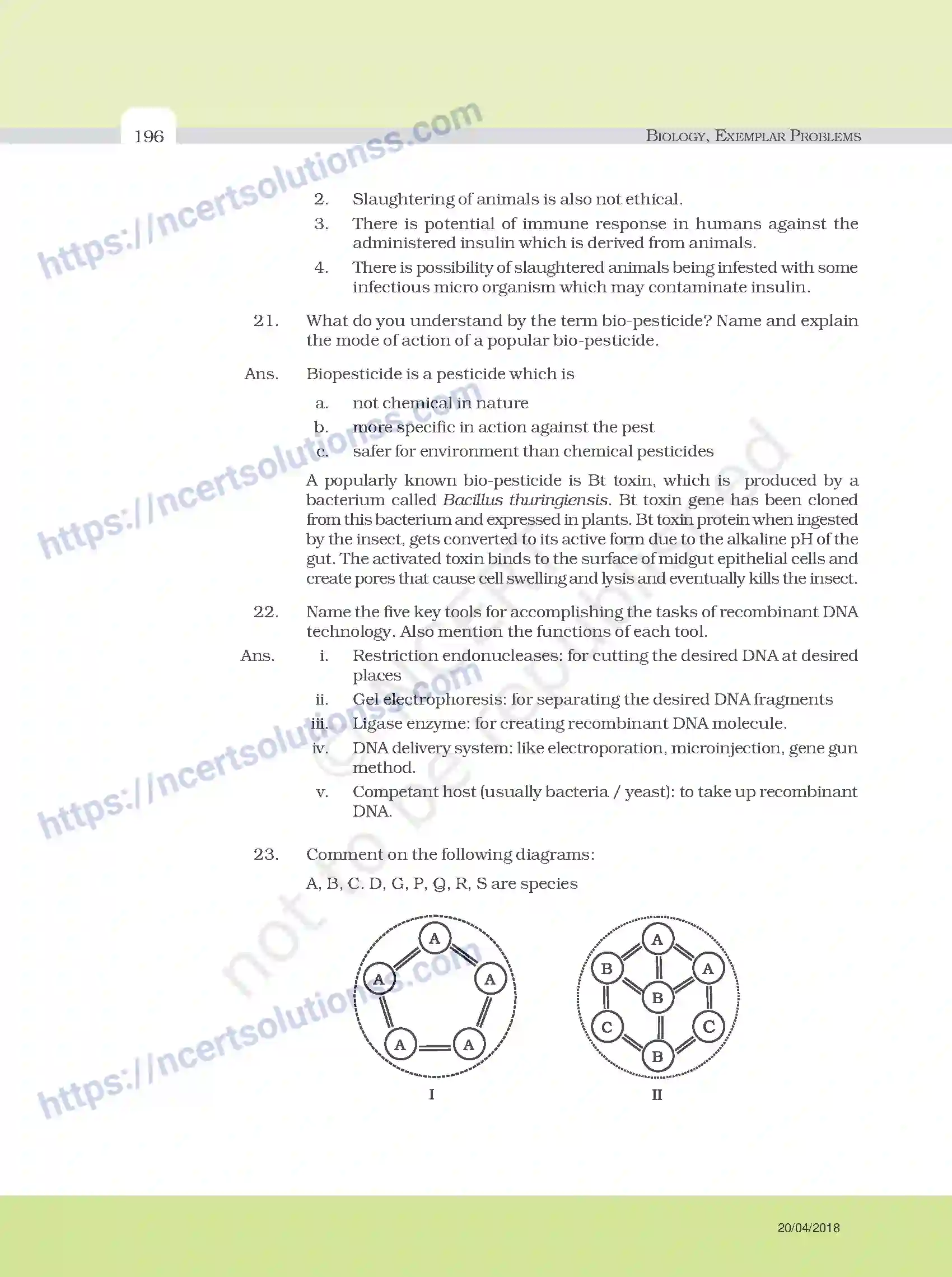 NCERT-Exemplar-Questions-Class-12-Biology--Model-Answers-to-Descriptive-Questions-33-page-72