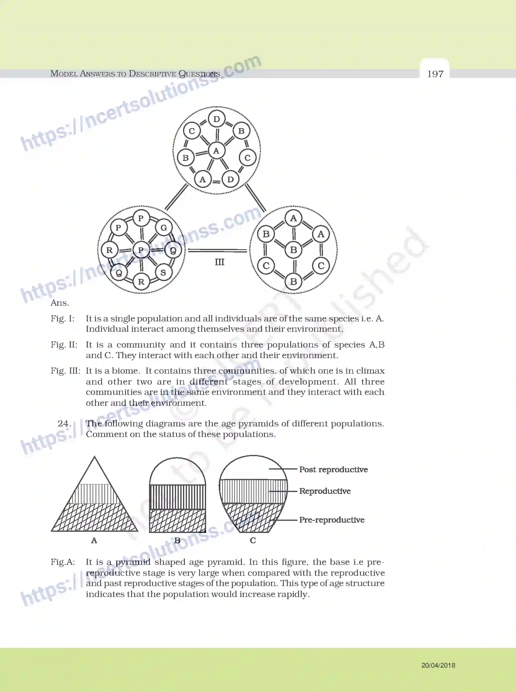 NCERT-Exemplar-Questions-Class-12-Biology--Model-Answers-to-Descriptive-Questions-33-page-73