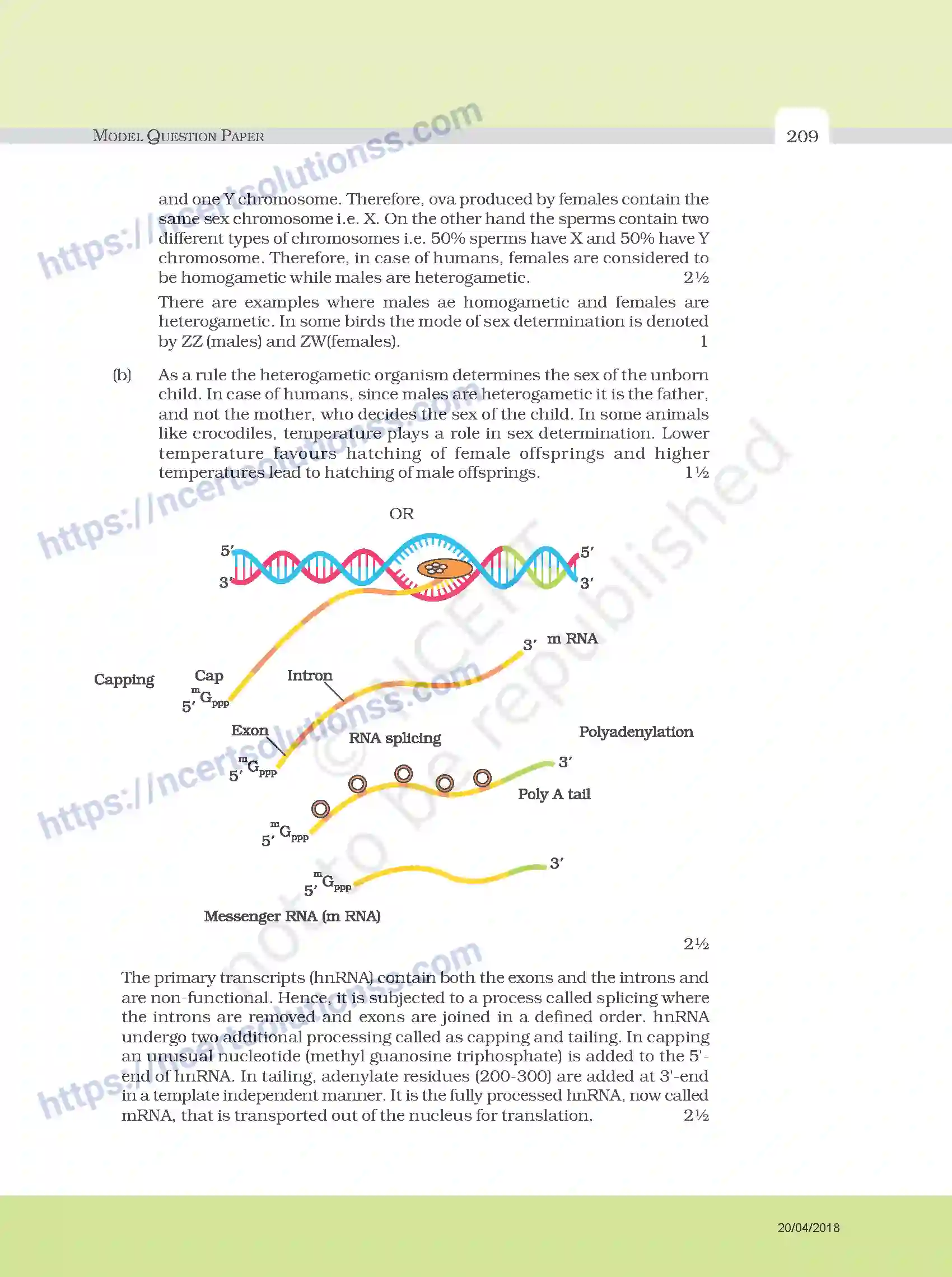 NCERT-Exemplar-Questions-Class-12-Biology--Model-Question-Paper-34-page-10