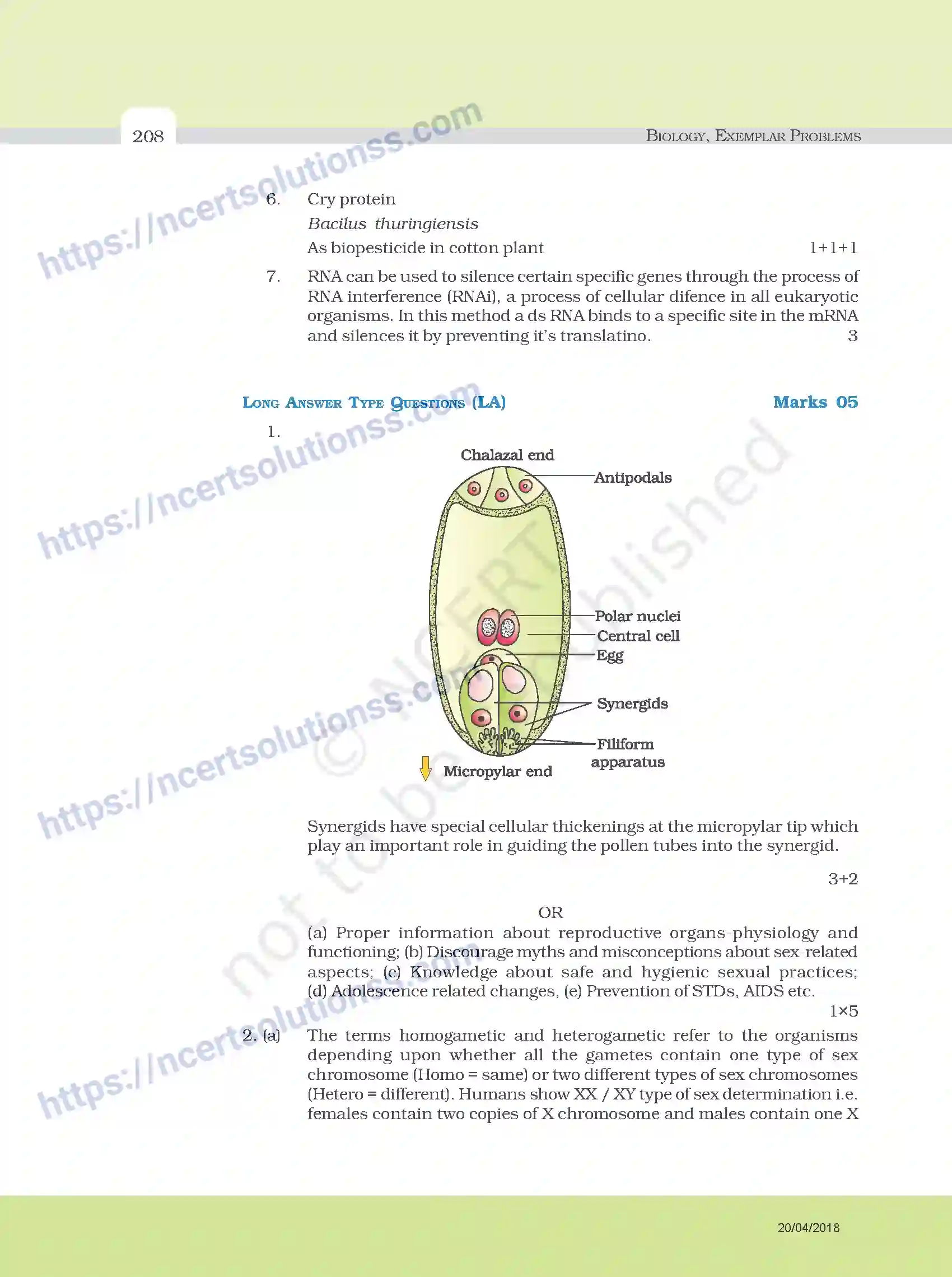 NCERT-Exemplar-Questions-Class-12-Biology--Model-Question-Paper-34-page-9