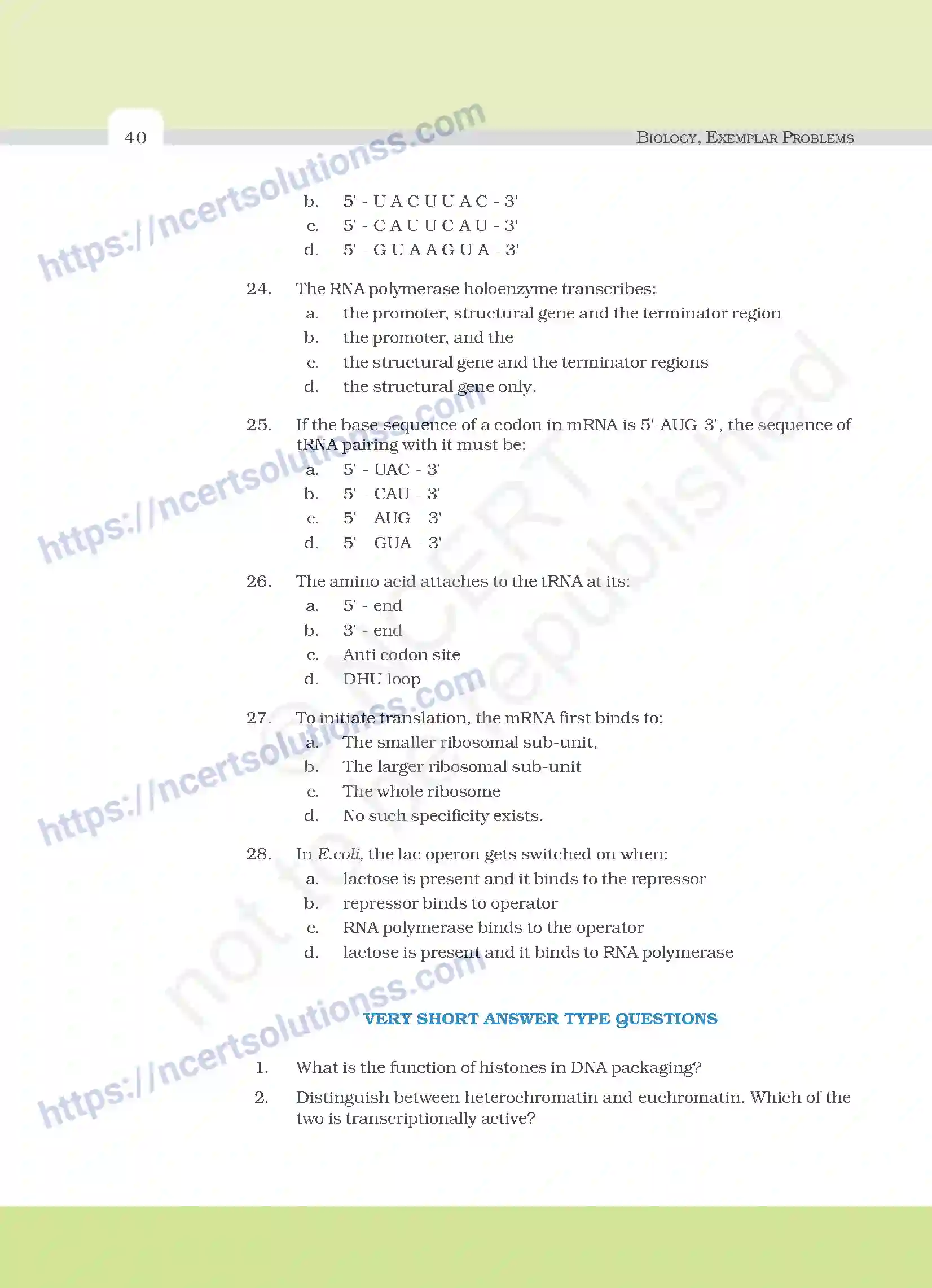 NCERT-Exemplar-Questions-Class-12-Biology--Molecular-Basis-Of-Inheritance-22-page-5