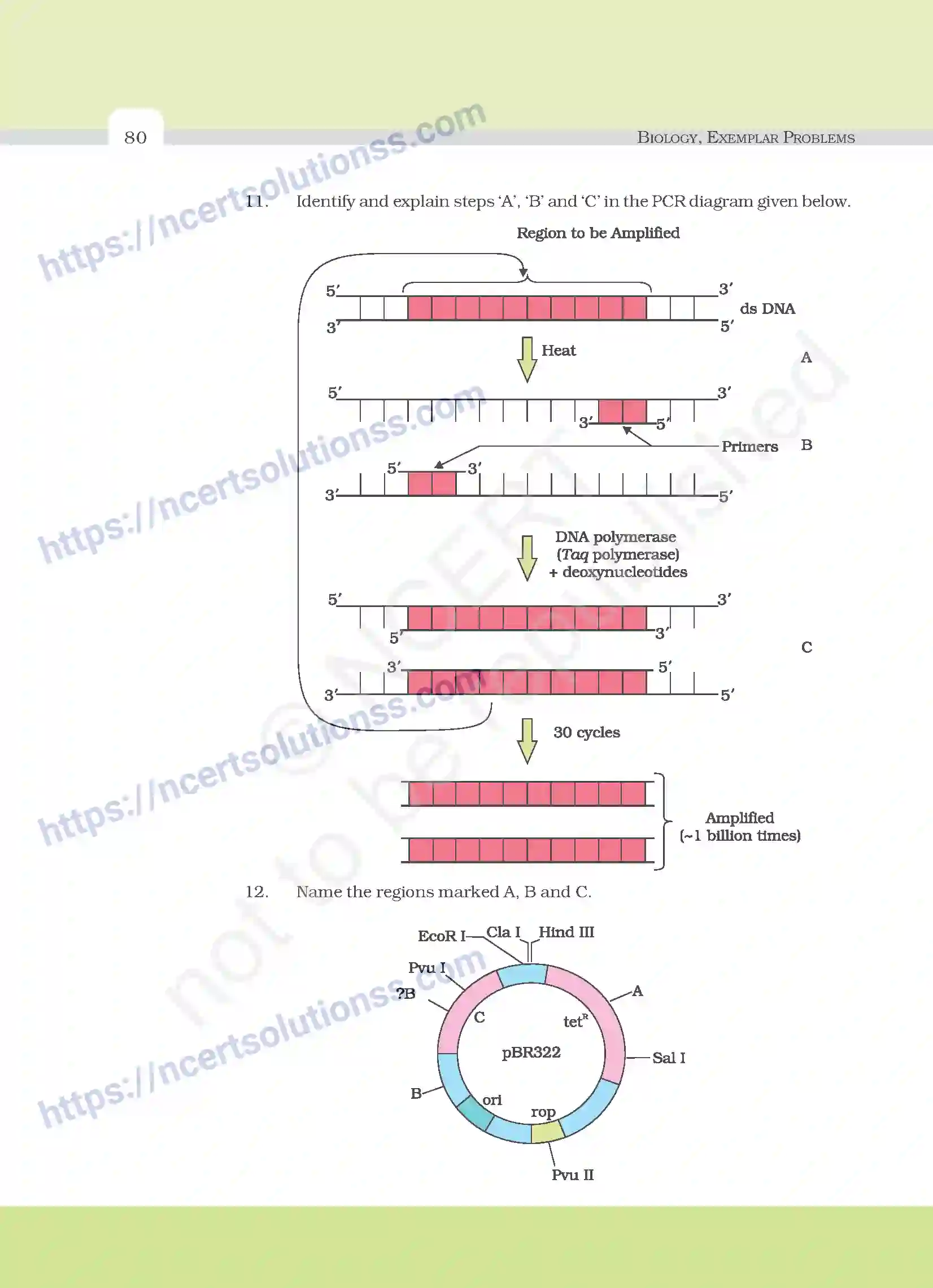 NCERT-Exemplar-Questions-Class-12-Biology--Principles-And-Processes-27-page-6