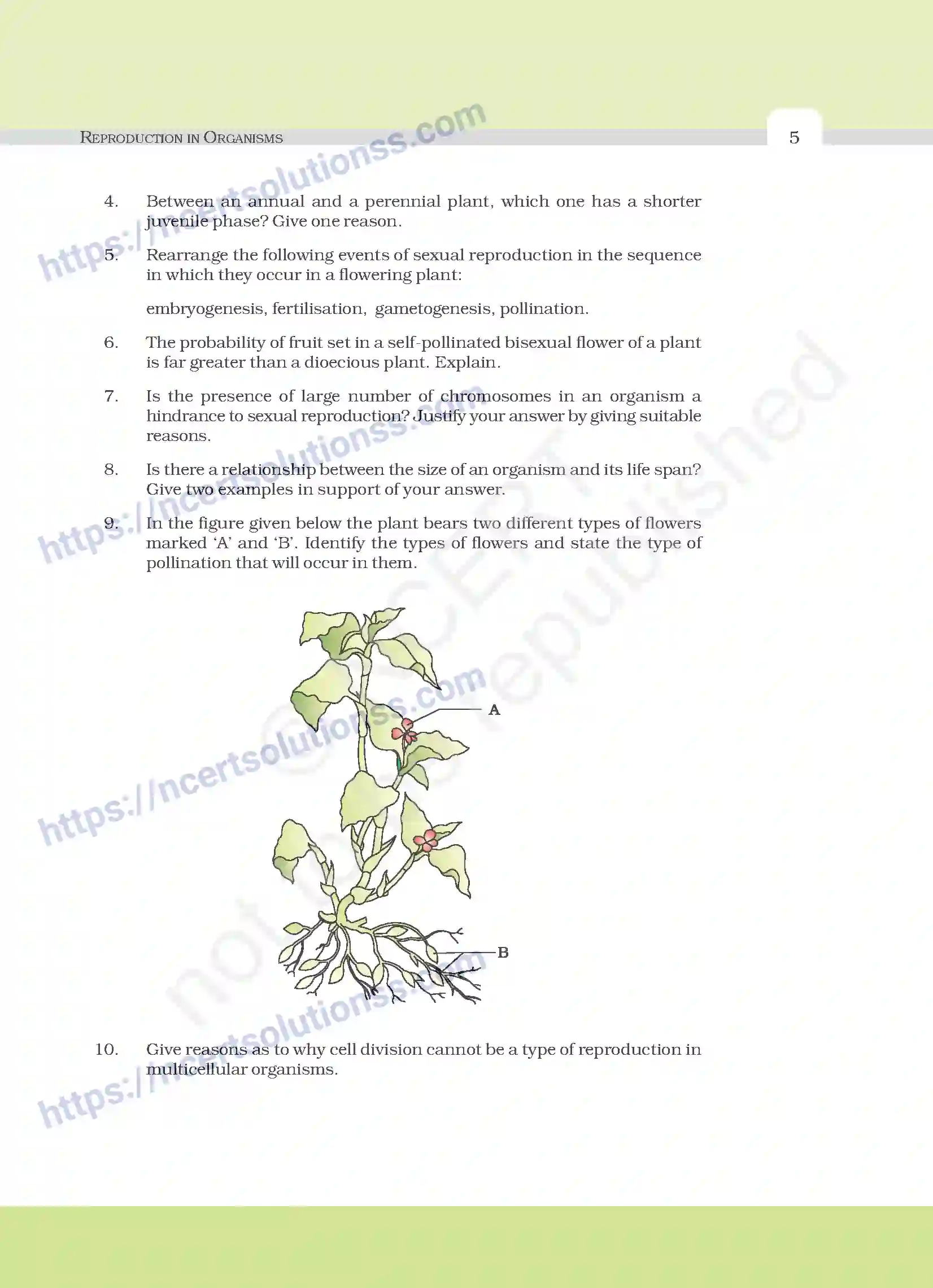 NCERT-Exemplar-Questions-Class-12-Biology--Reproduction-In-Organisms-17-page-5