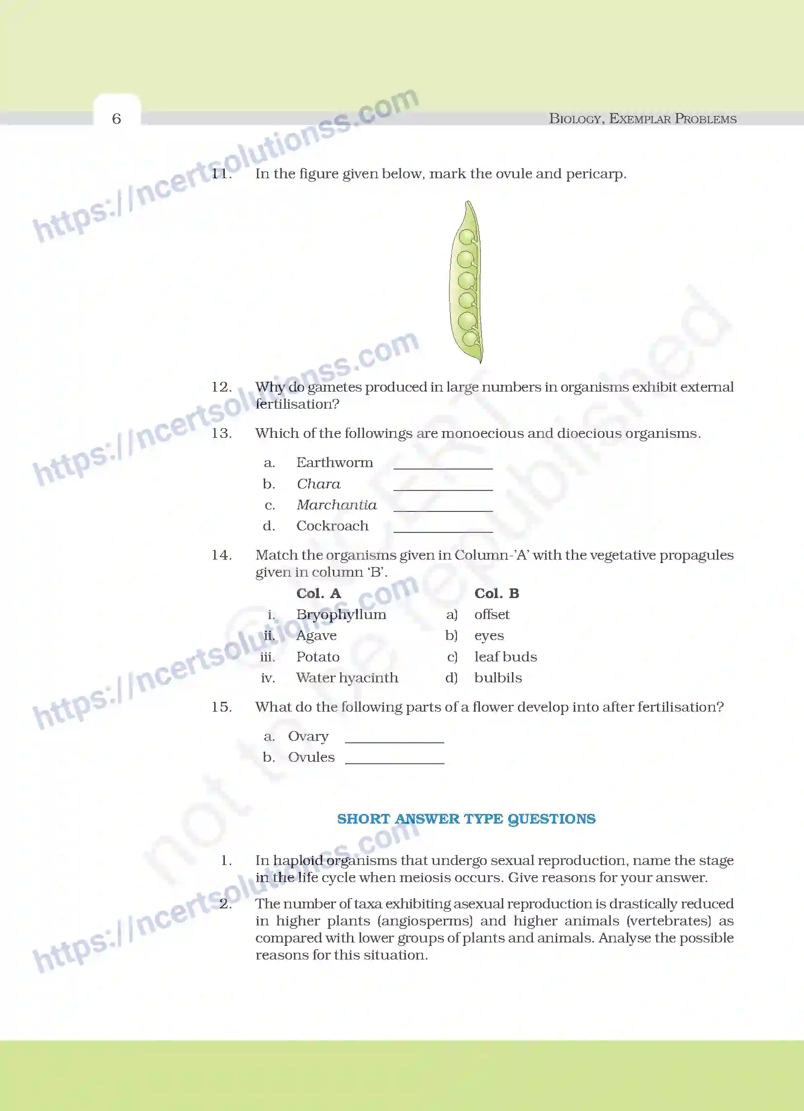 NCERT-Exemplar-Questions-Class-12-Biology--Reproduction-In-Organisms-17-page-6