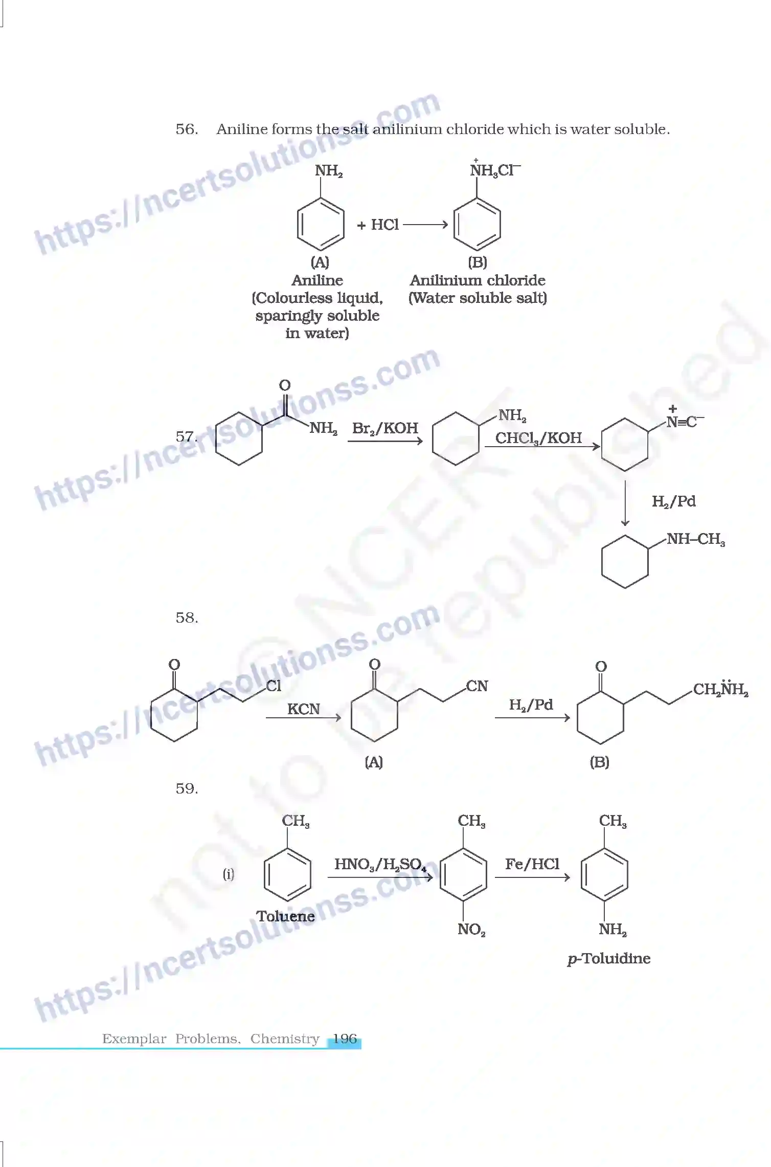 NCERT-Exemplar-Questions-Class-12-Chemistry--Amines-48-page-17