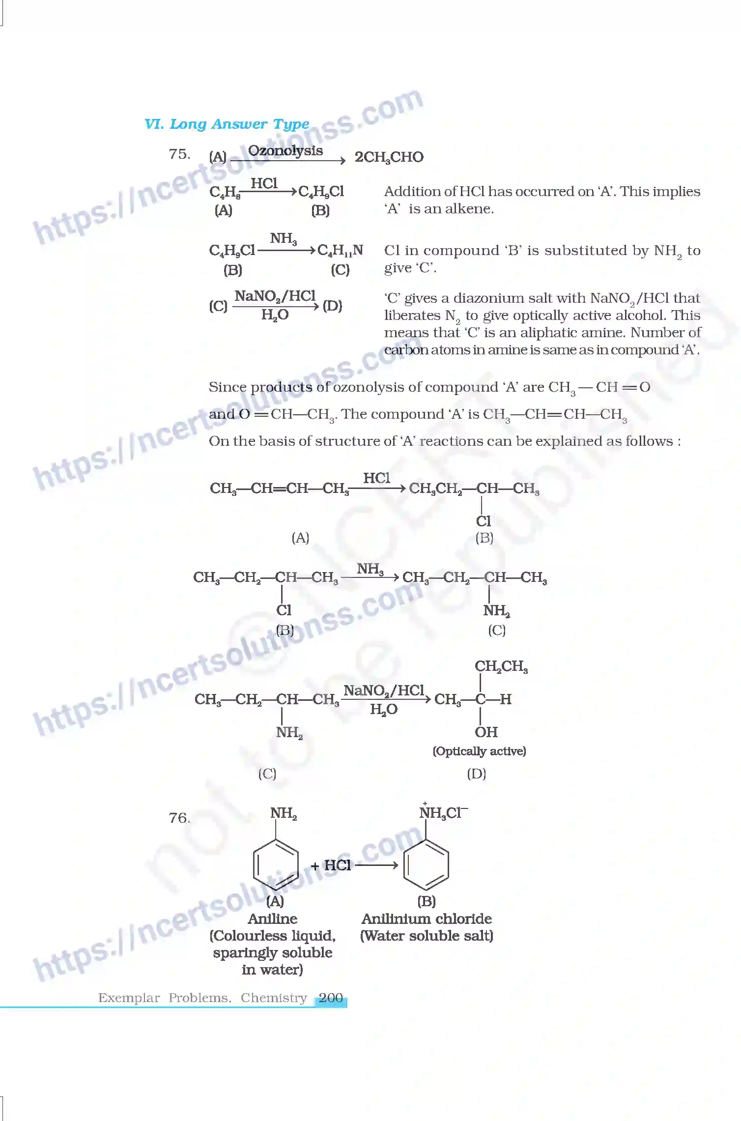 NCERT-Exemplar-Questions-Class-12-Chemistry--Amines-48-page-21