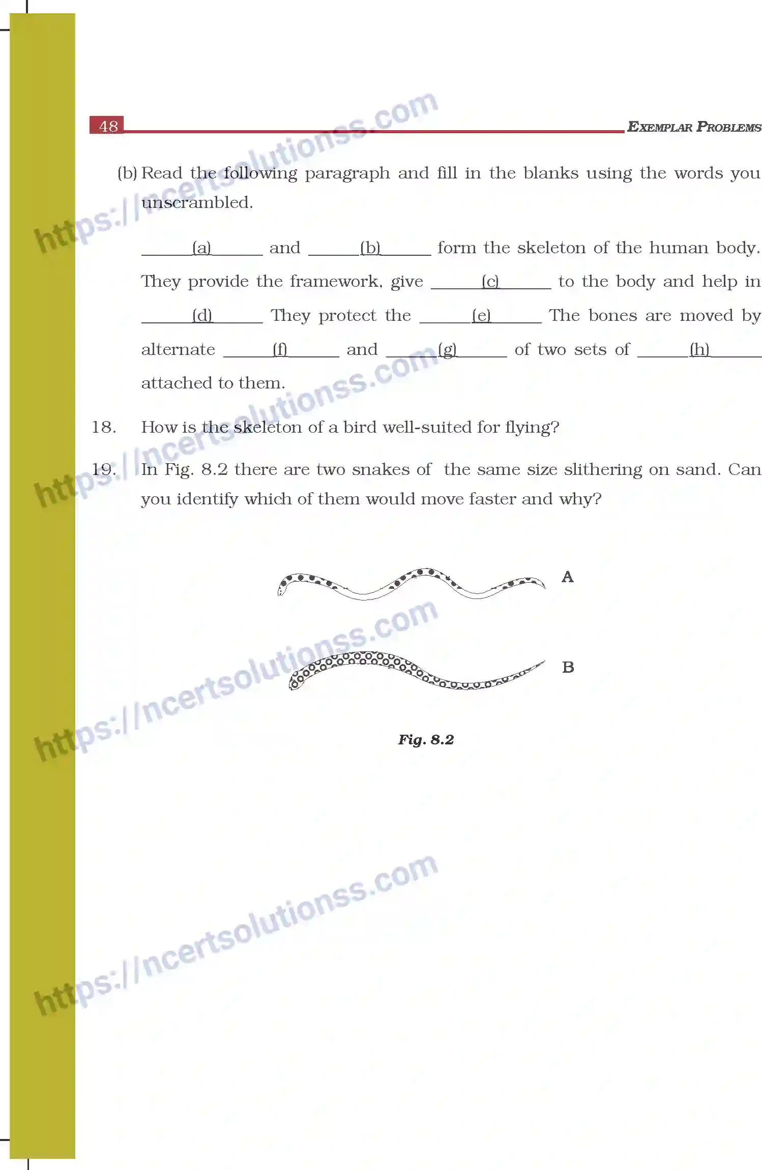 NCERT-Exemplar-Questions-Class-6-Science--Body-Movement-298-page-5