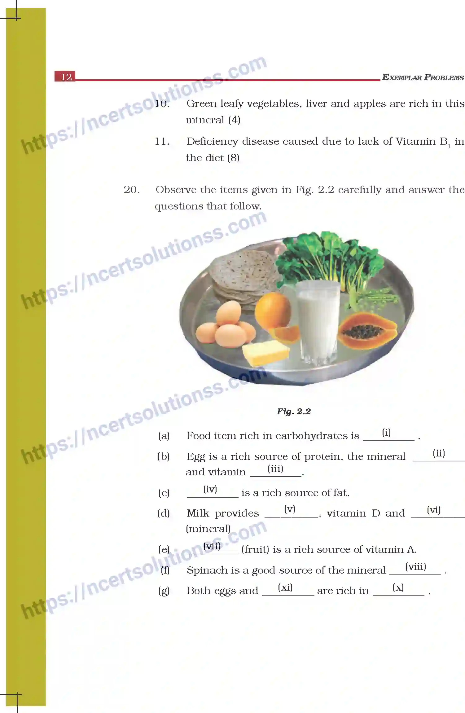 NCERT-Exemplar-Questions-Class-6-Science--Components-of-Food-292-page-7