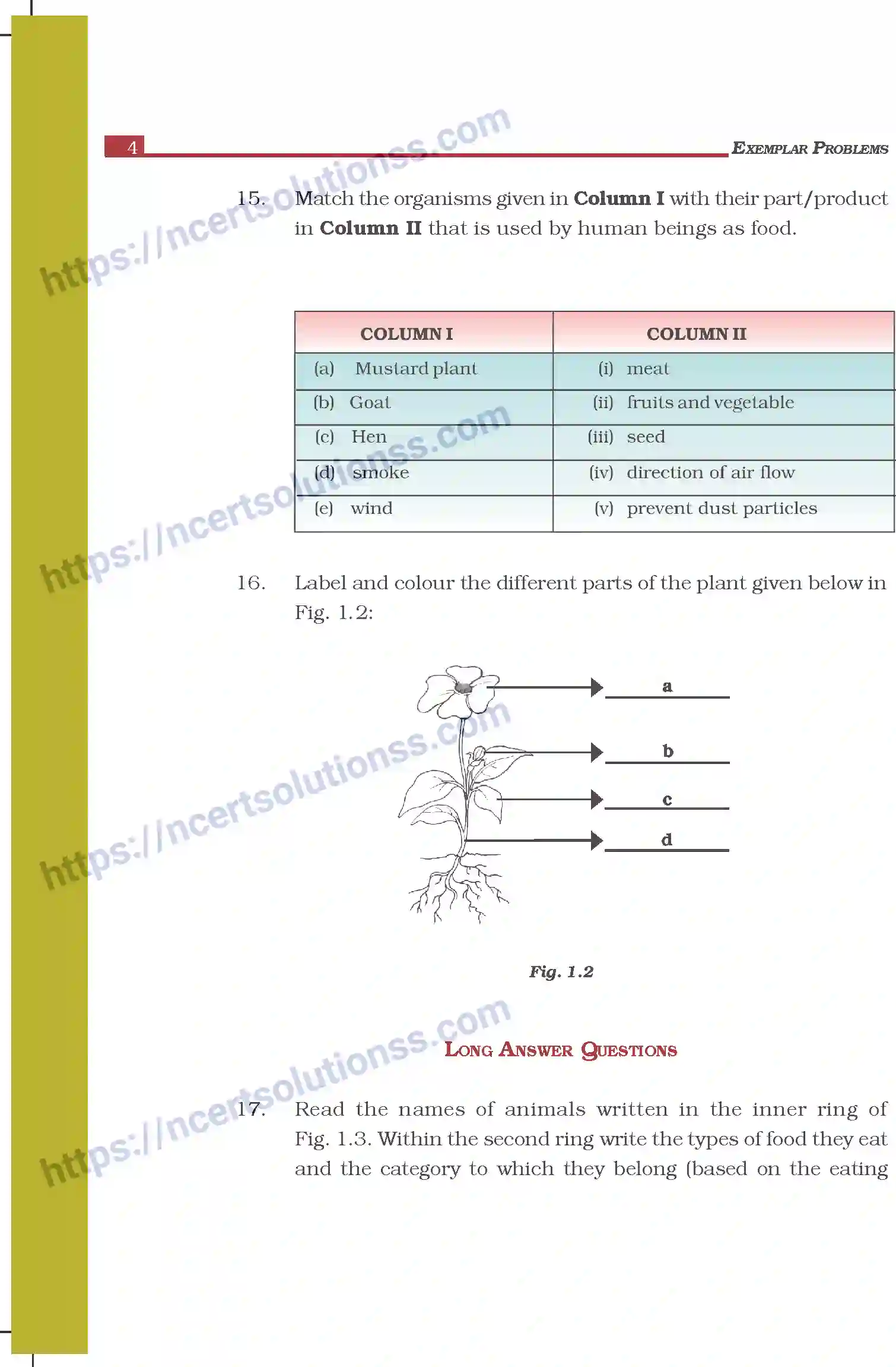 NCERT-Exemplar-Questions-Class-6-Science--Food-Where-Does-It-Come-From-291-page-4