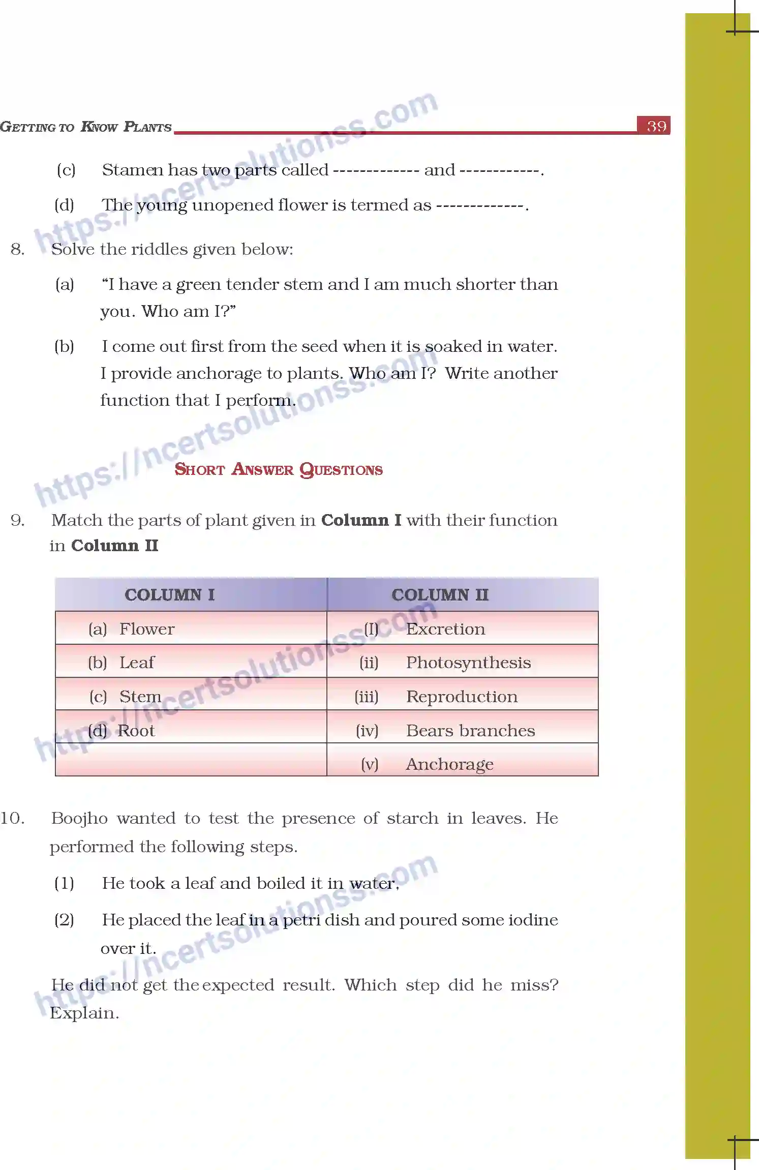 NCERT-Exemplar-Questions-Class-6-Science--Getting-to-Know-Plants-297-page-3