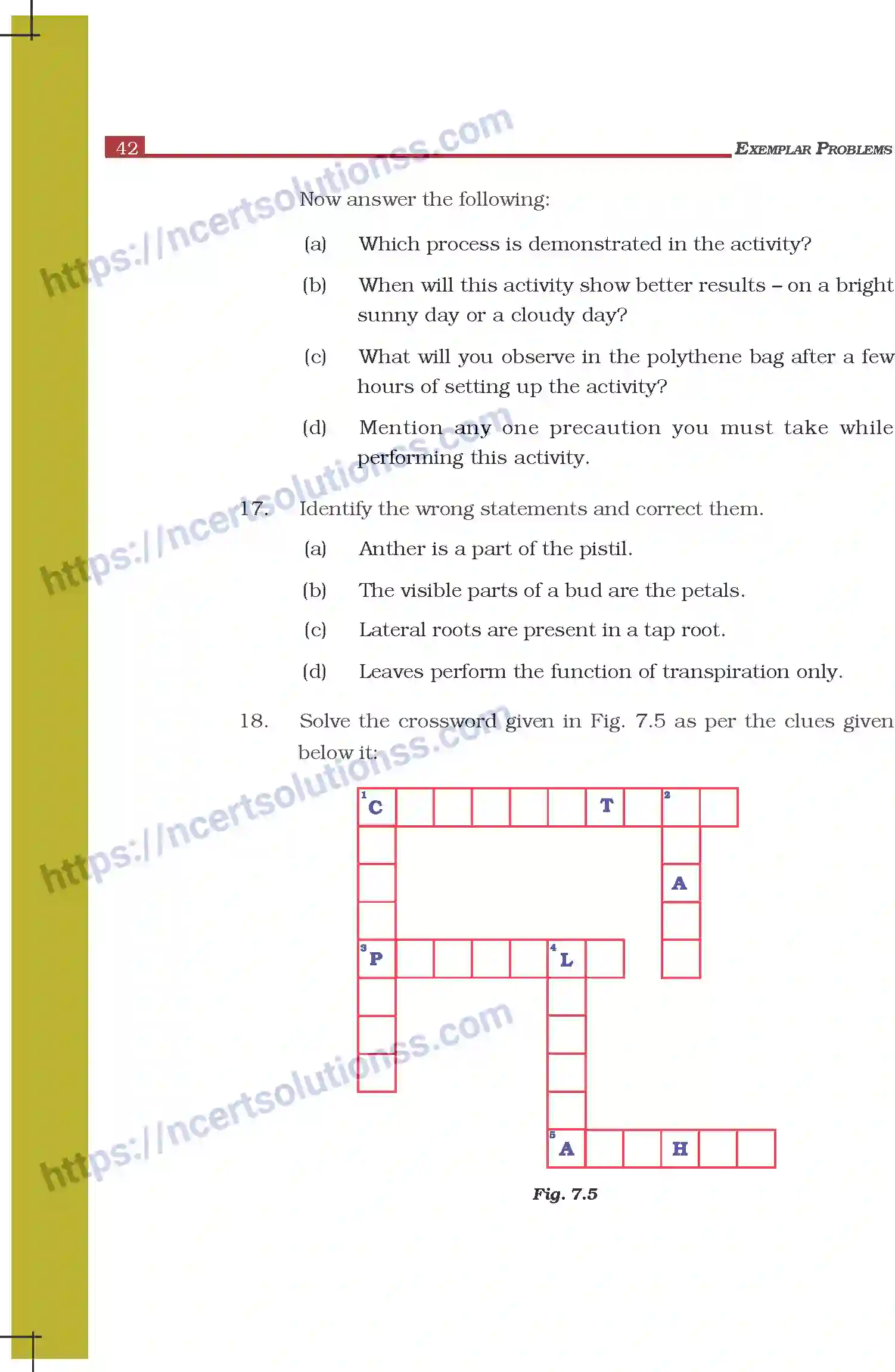 NCERT-Exemplar-Questions-Class-6-Science--Getting-to-Know-Plants-297-page-6