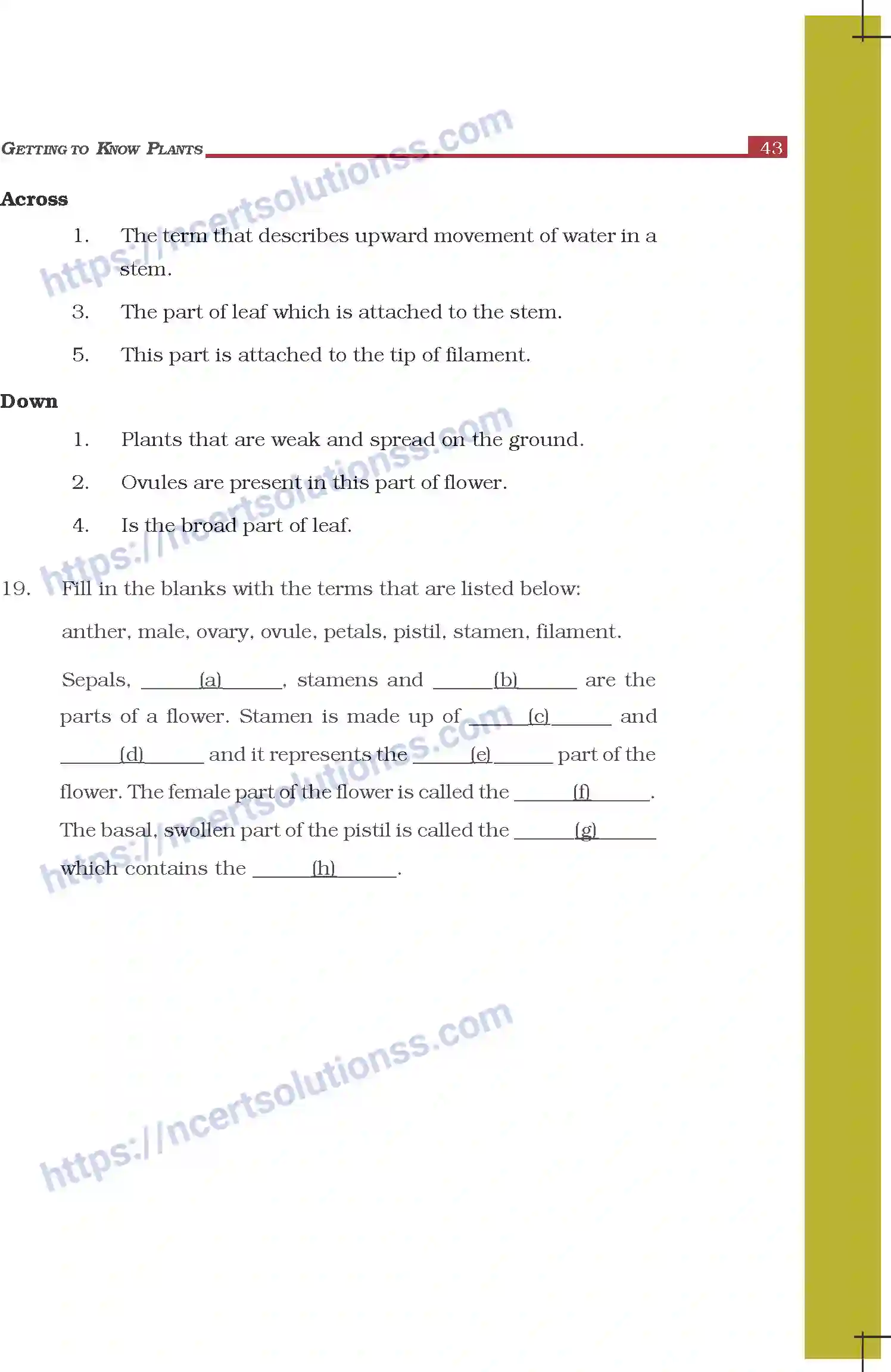 NCERT-Exemplar-Questions-Class-6-Science--Getting-to-Know-Plants-297-page-7