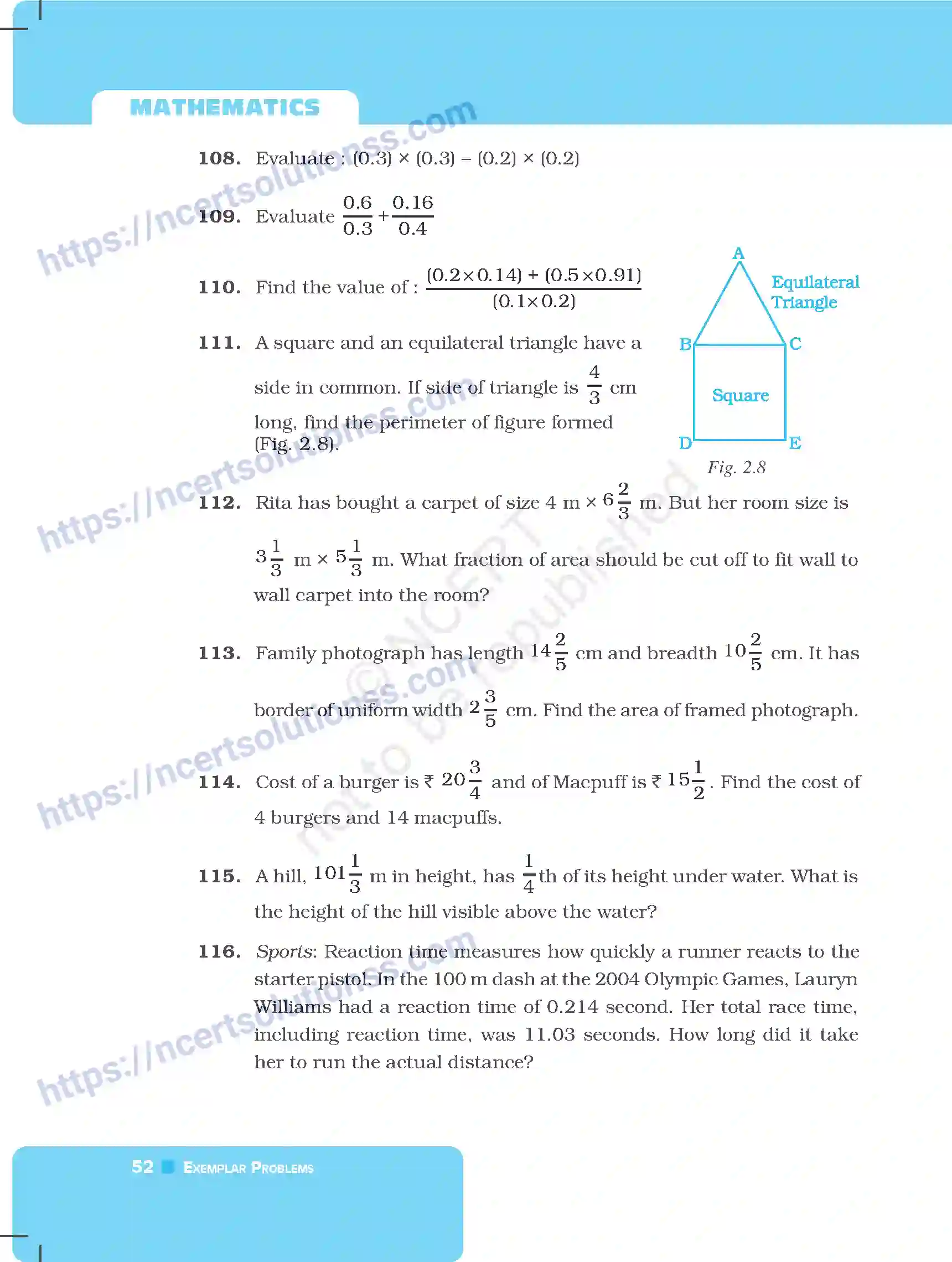 NCERT-Exemplar-Questions-Class-7-Mathematics--Fractions-and-Decimals-250-page-27