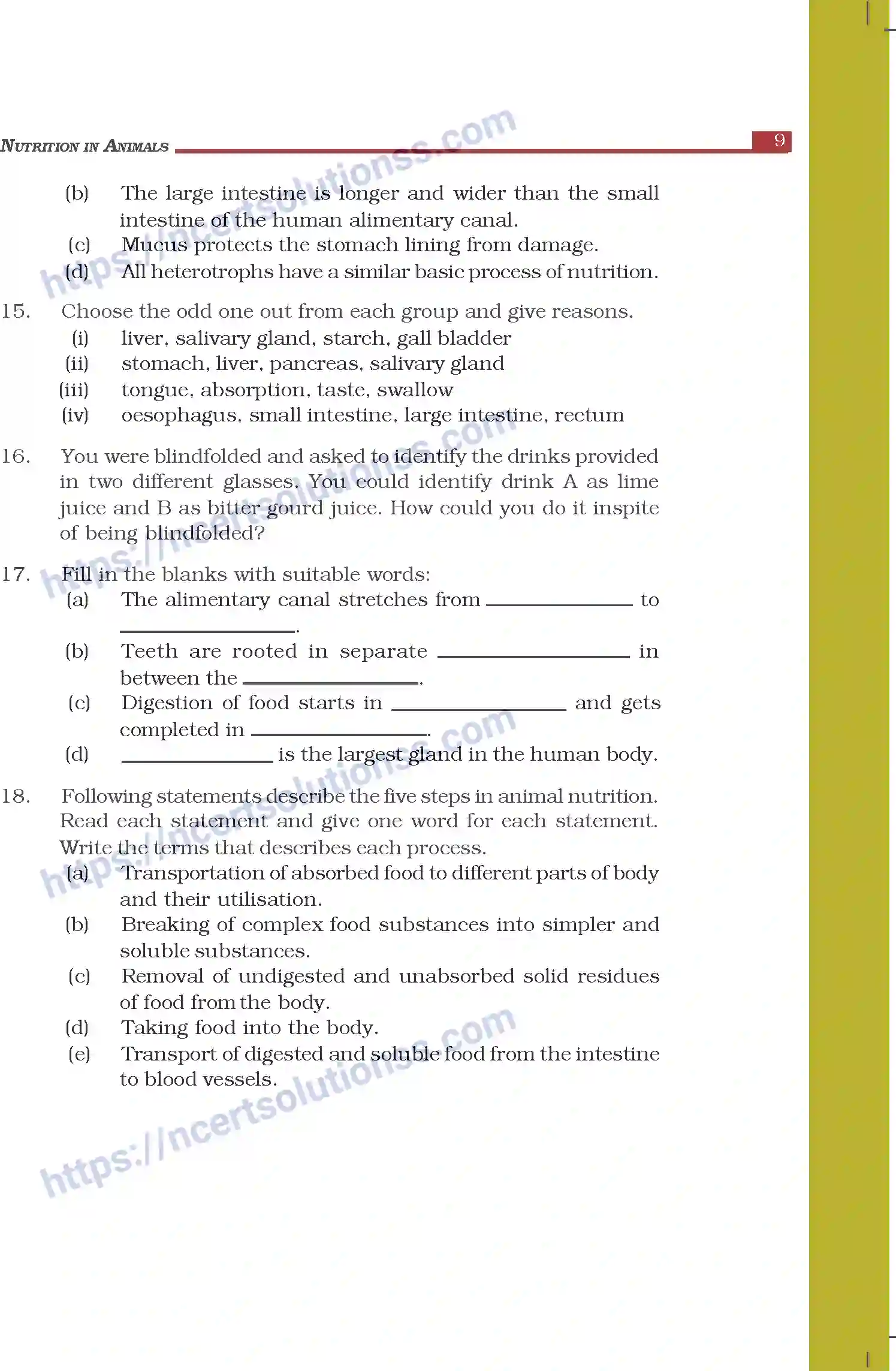 NCERT-Exemplar-Questions-Class-7-Science--Nutrition-in-Animals-263-page-4