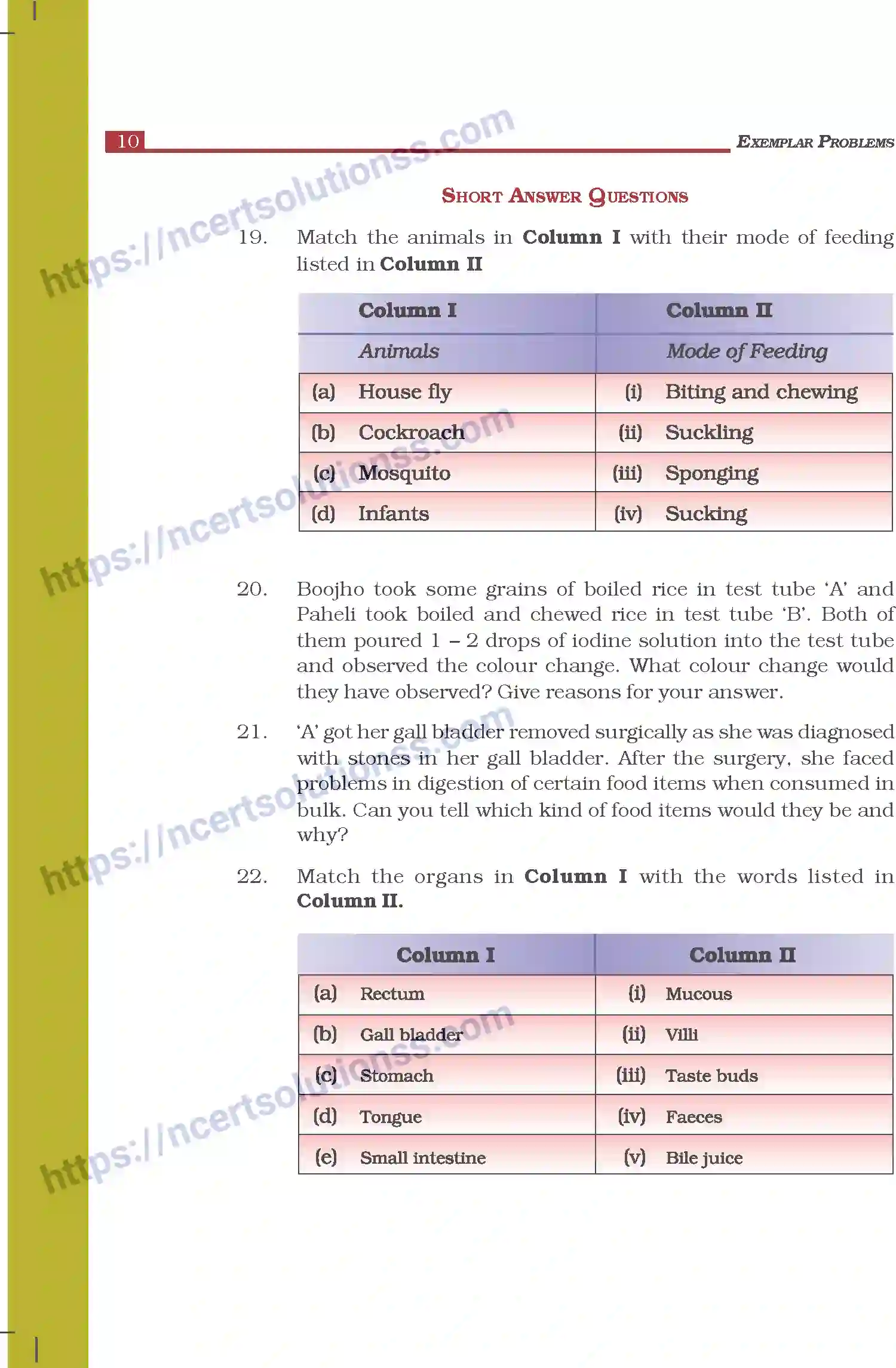 NCERT-Exemplar-Questions-Class-7-Science--Nutrition-in-Animals-263-page-5