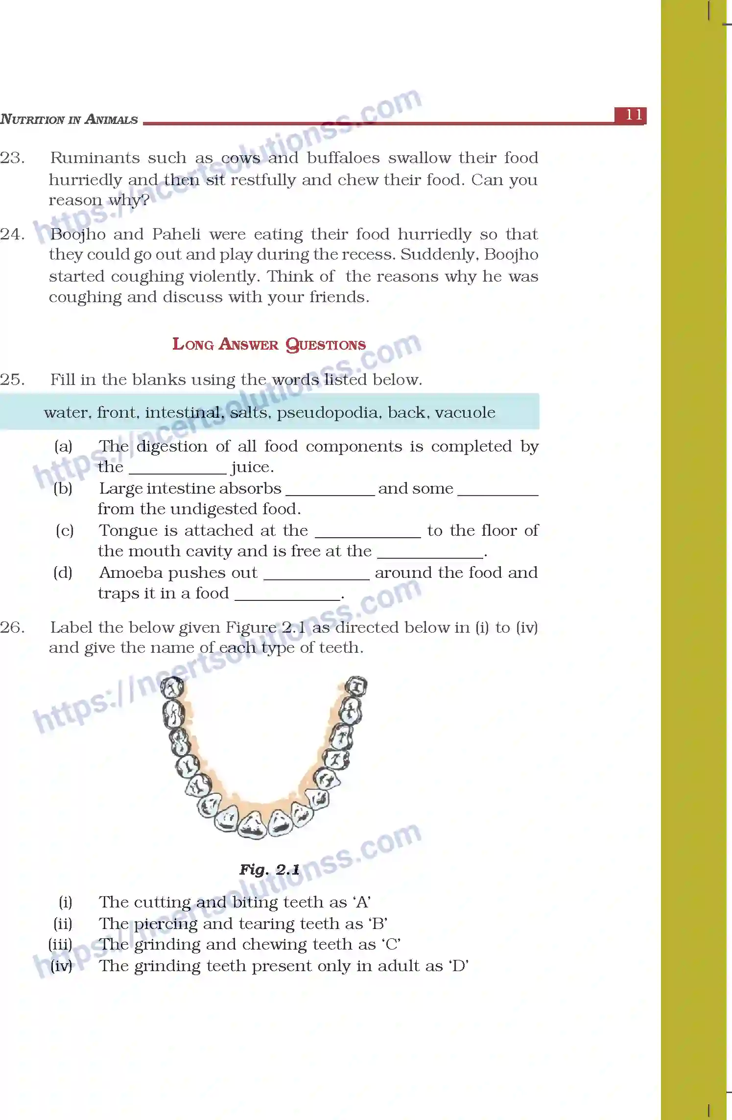 NCERT-Exemplar-Questions-Class-7-Science--Nutrition-in-Animals-263-page-6